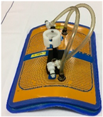 Cancers 12 03644 i003