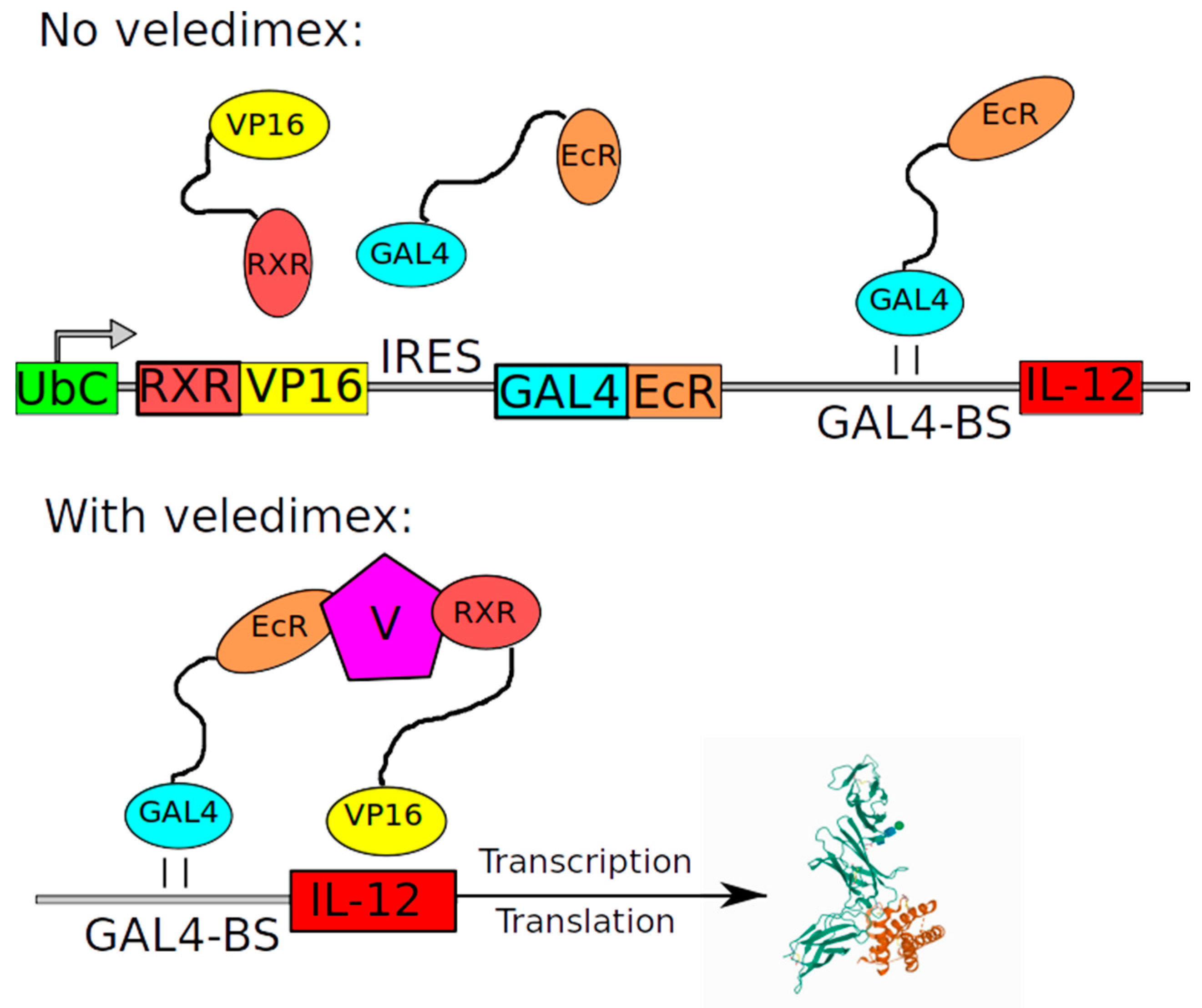 Cancers 12 03724 g003
