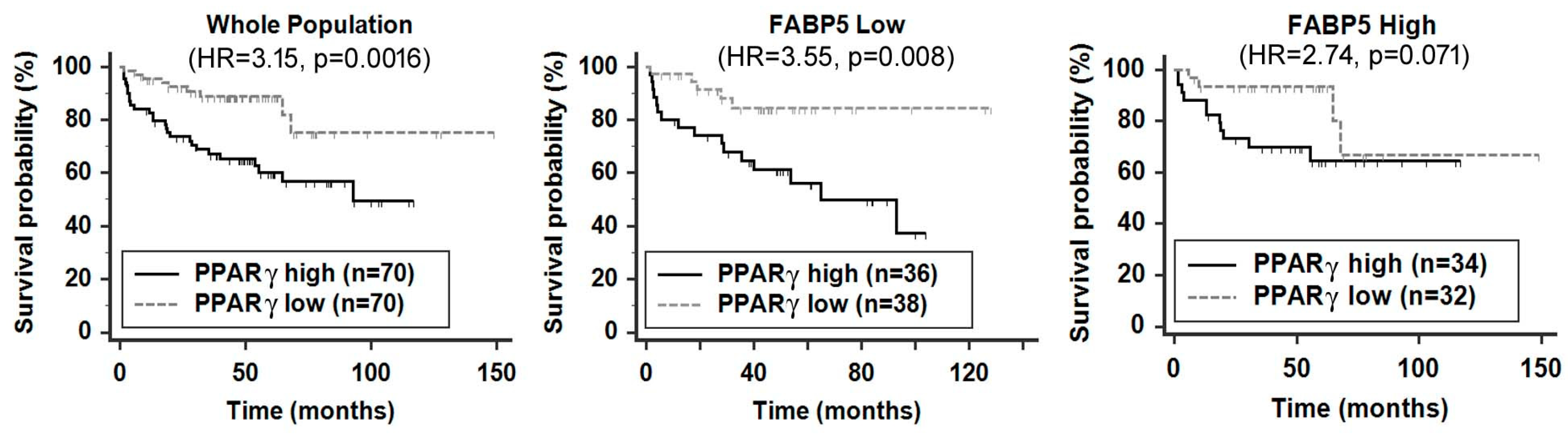 Cancers 12 03823 g003