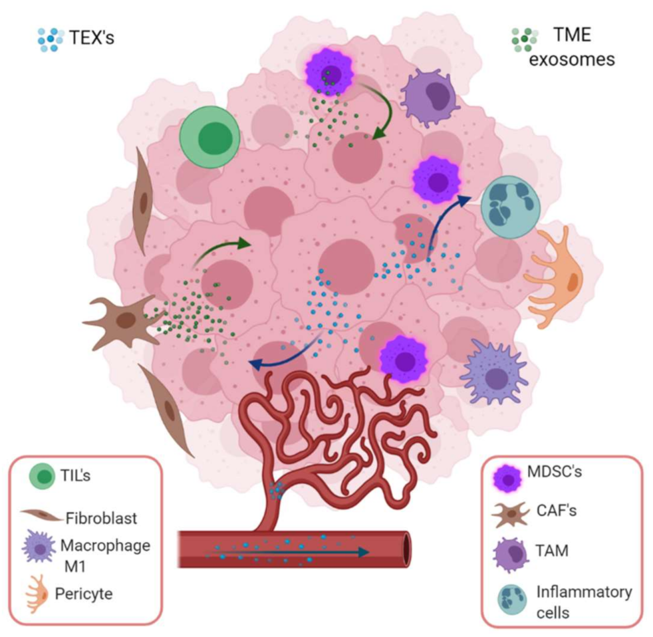 Cancers 13 00847 g004