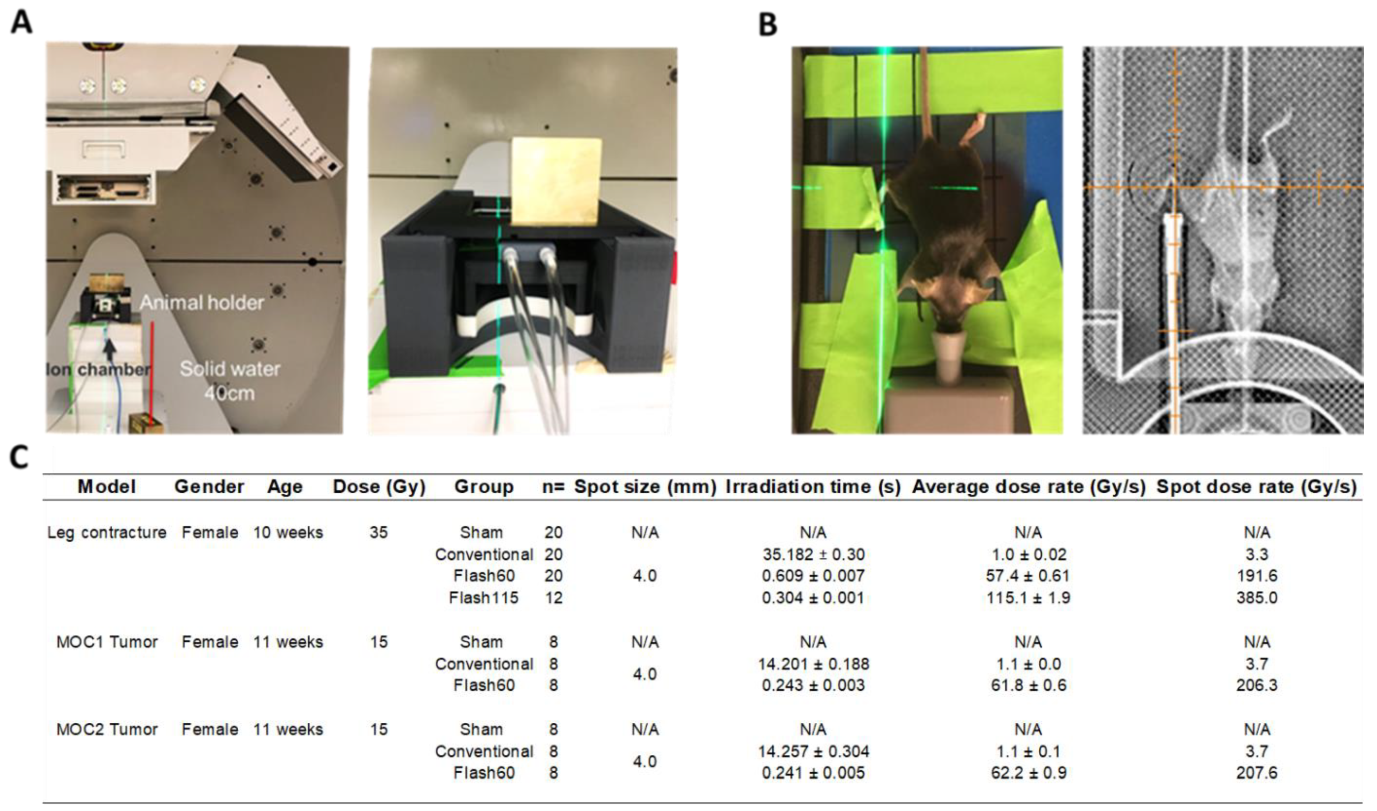 Cancers 13 01012 g001