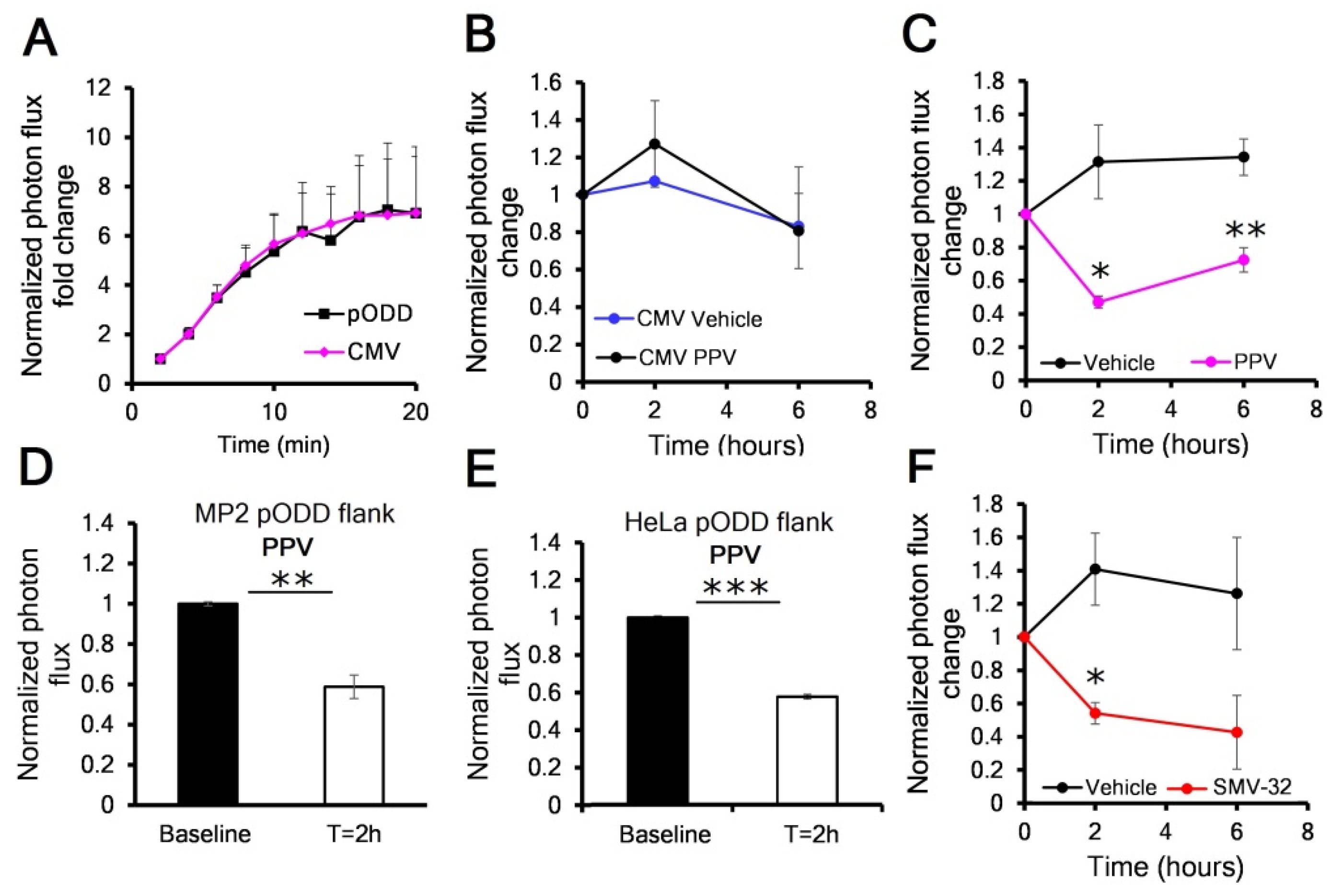 Cancers 13 01696 g003