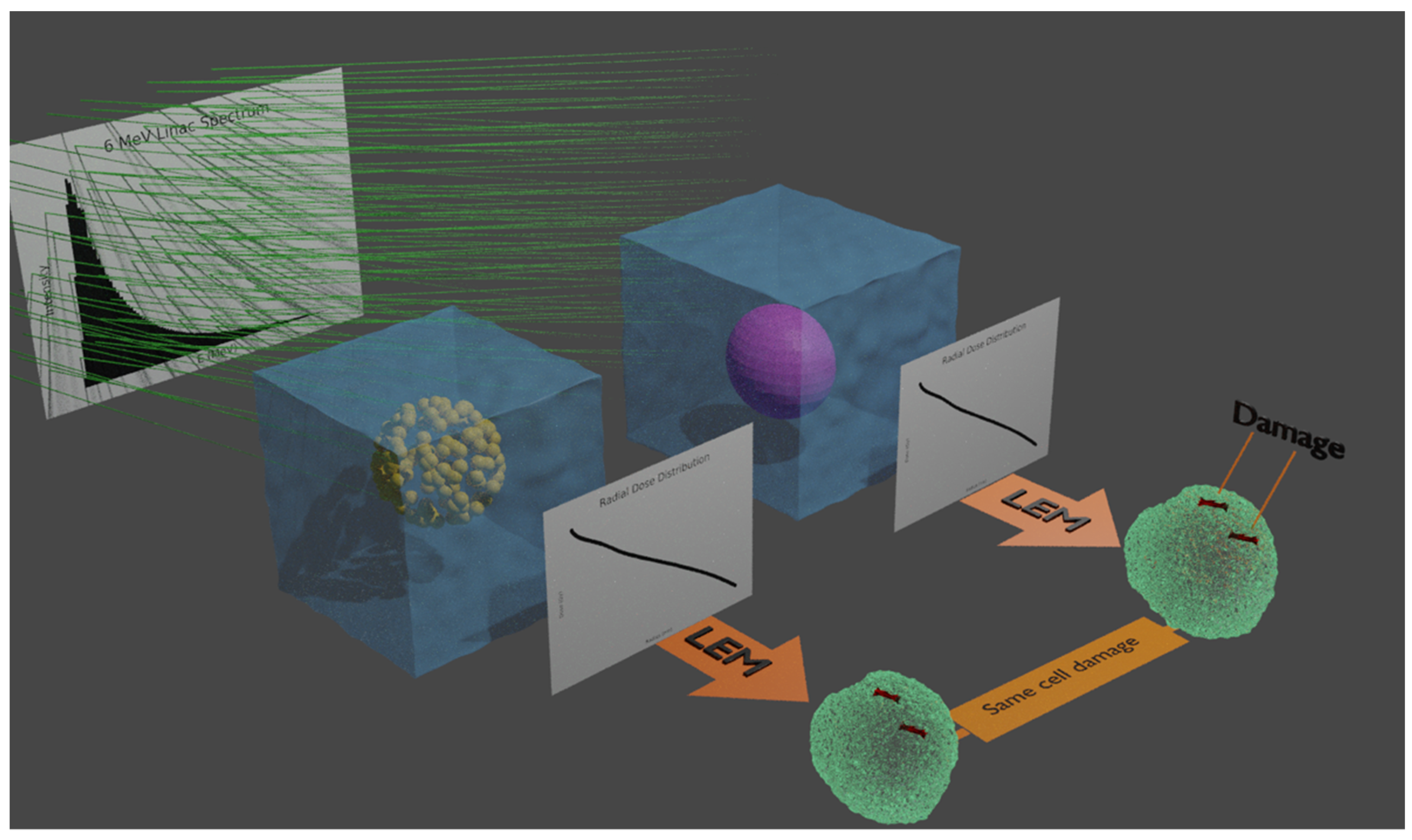 Cancers 13 02034 g001