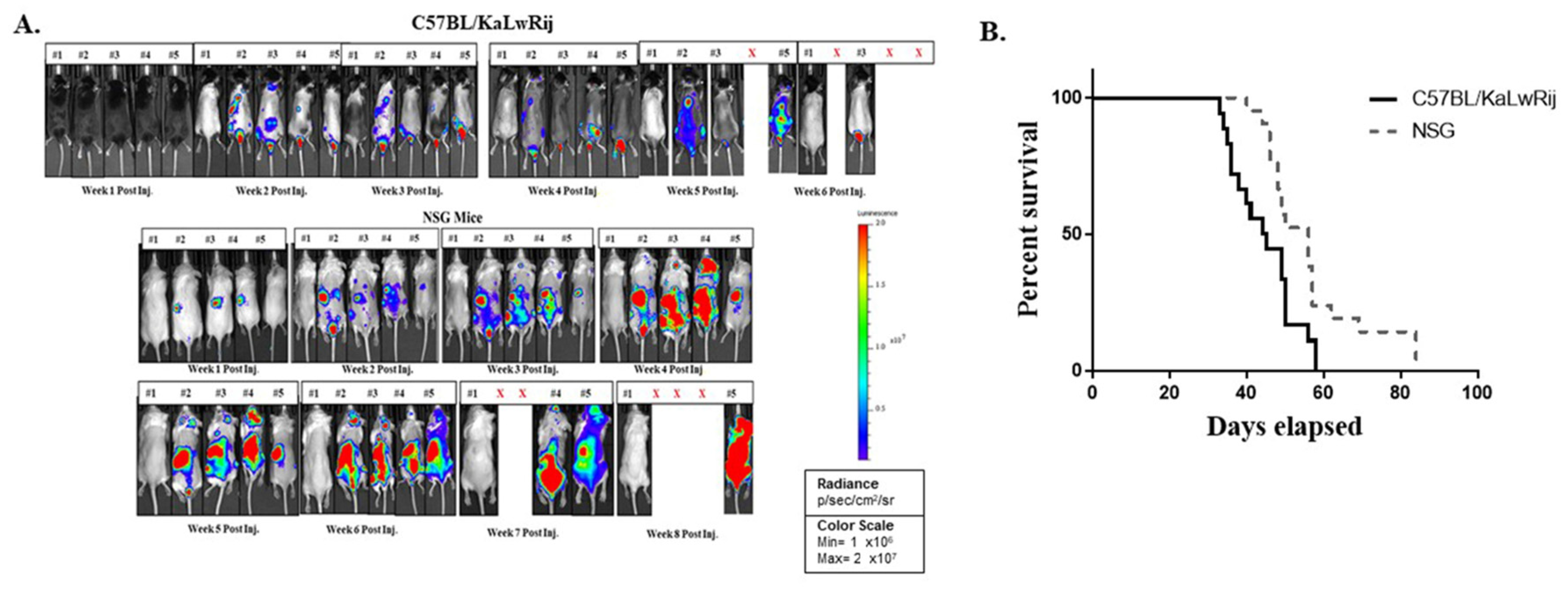 Cancers 13 04277 g001
