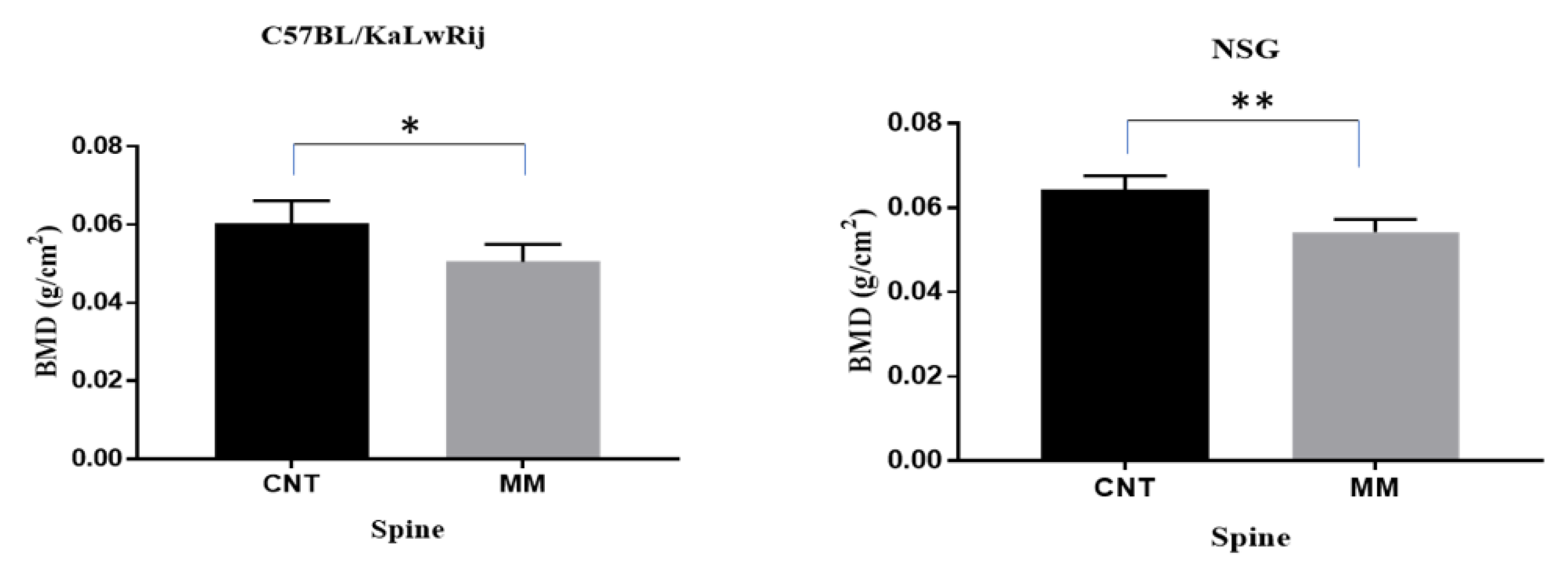 Cancers 13 04277 g003