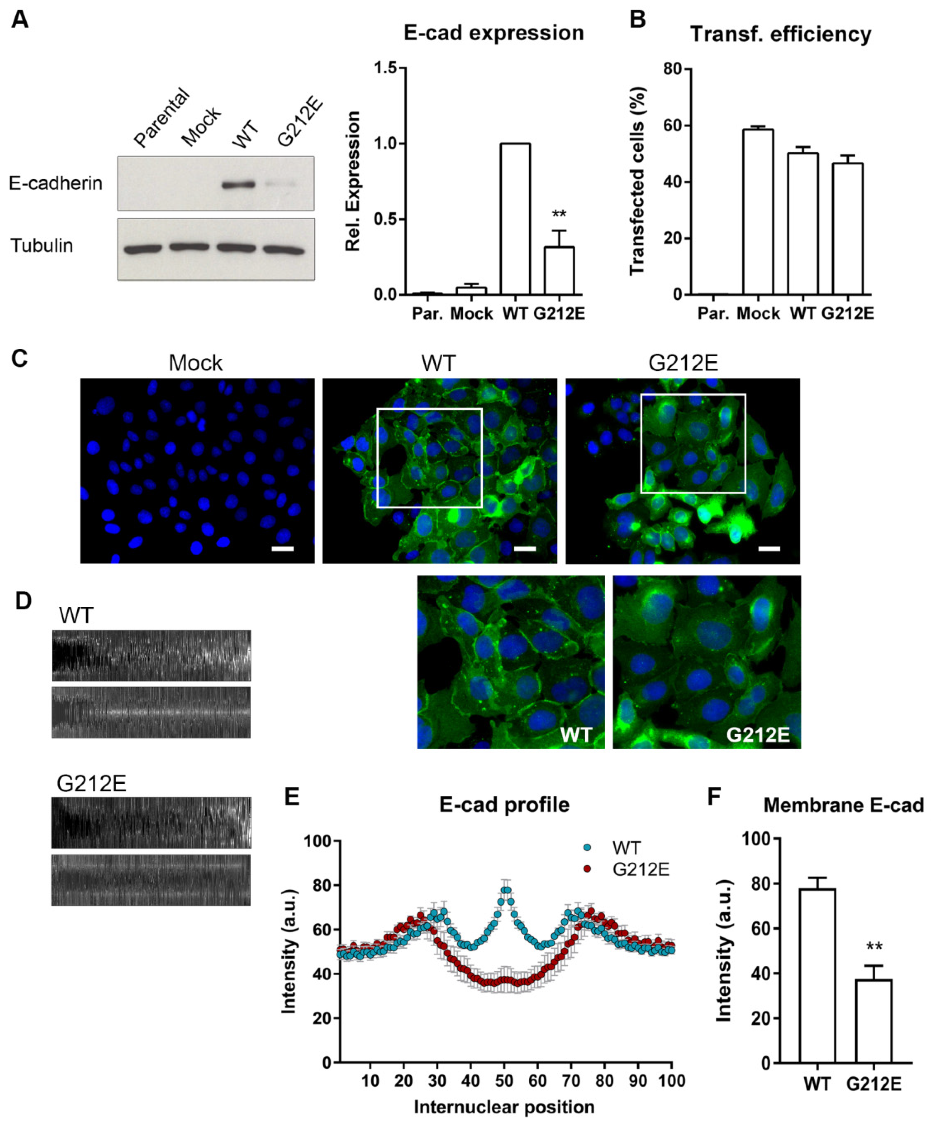 Cancers 13 04359 g003
