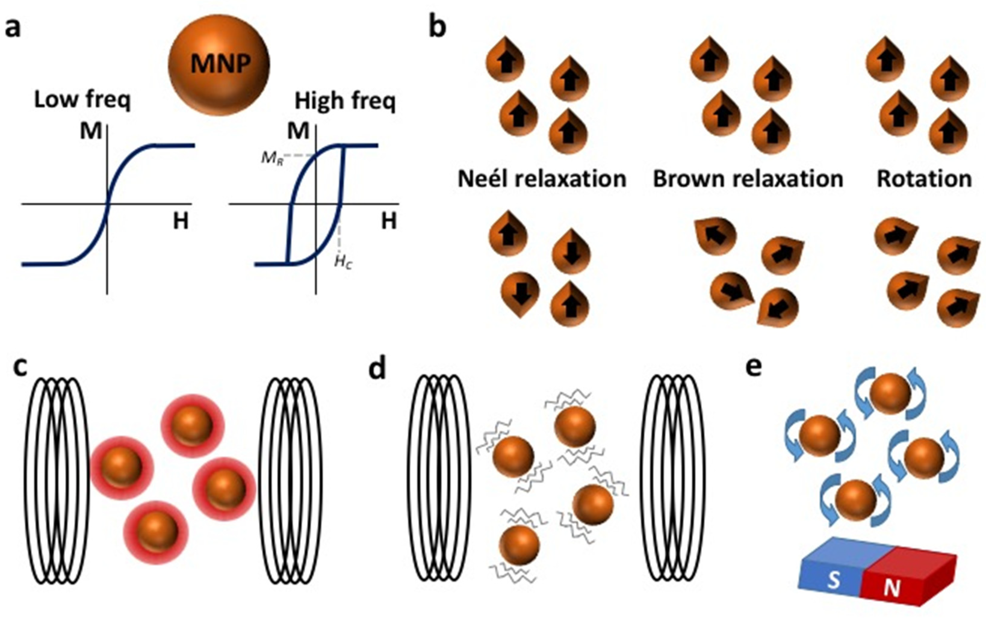 Cancers 13 04583 g002