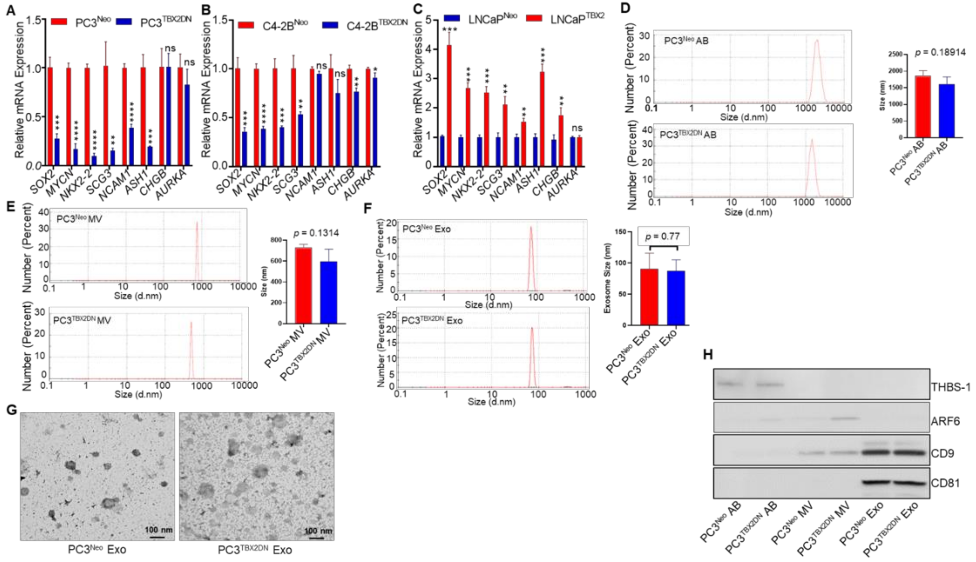 Cancers 13 05020 g001a