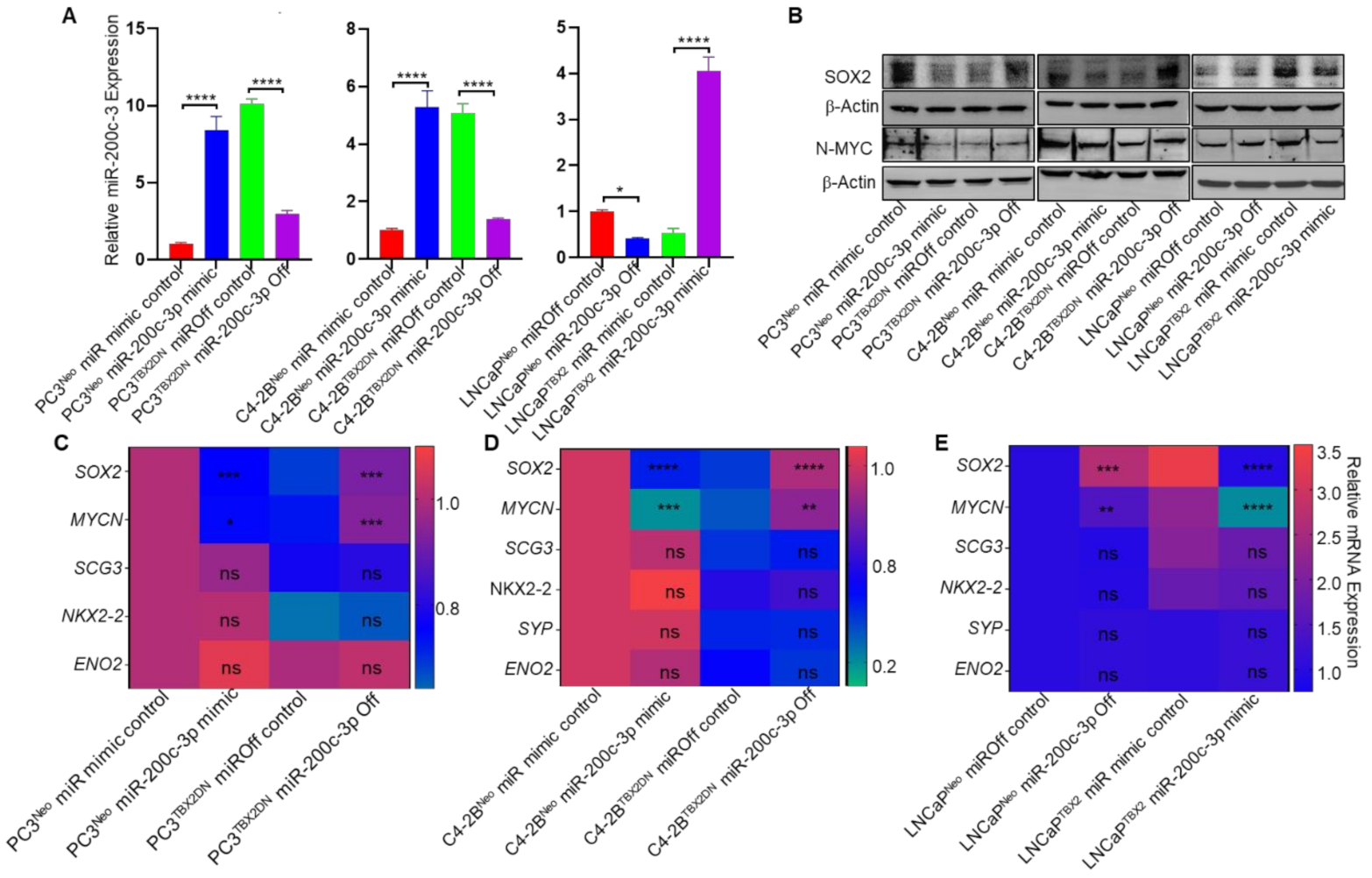 Cancers 13 05020 g004