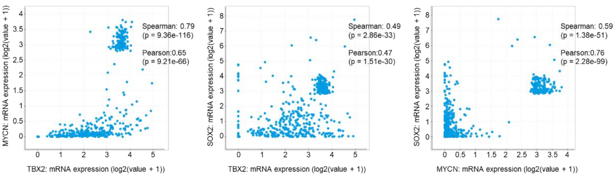 Cancers 13 05020 g005