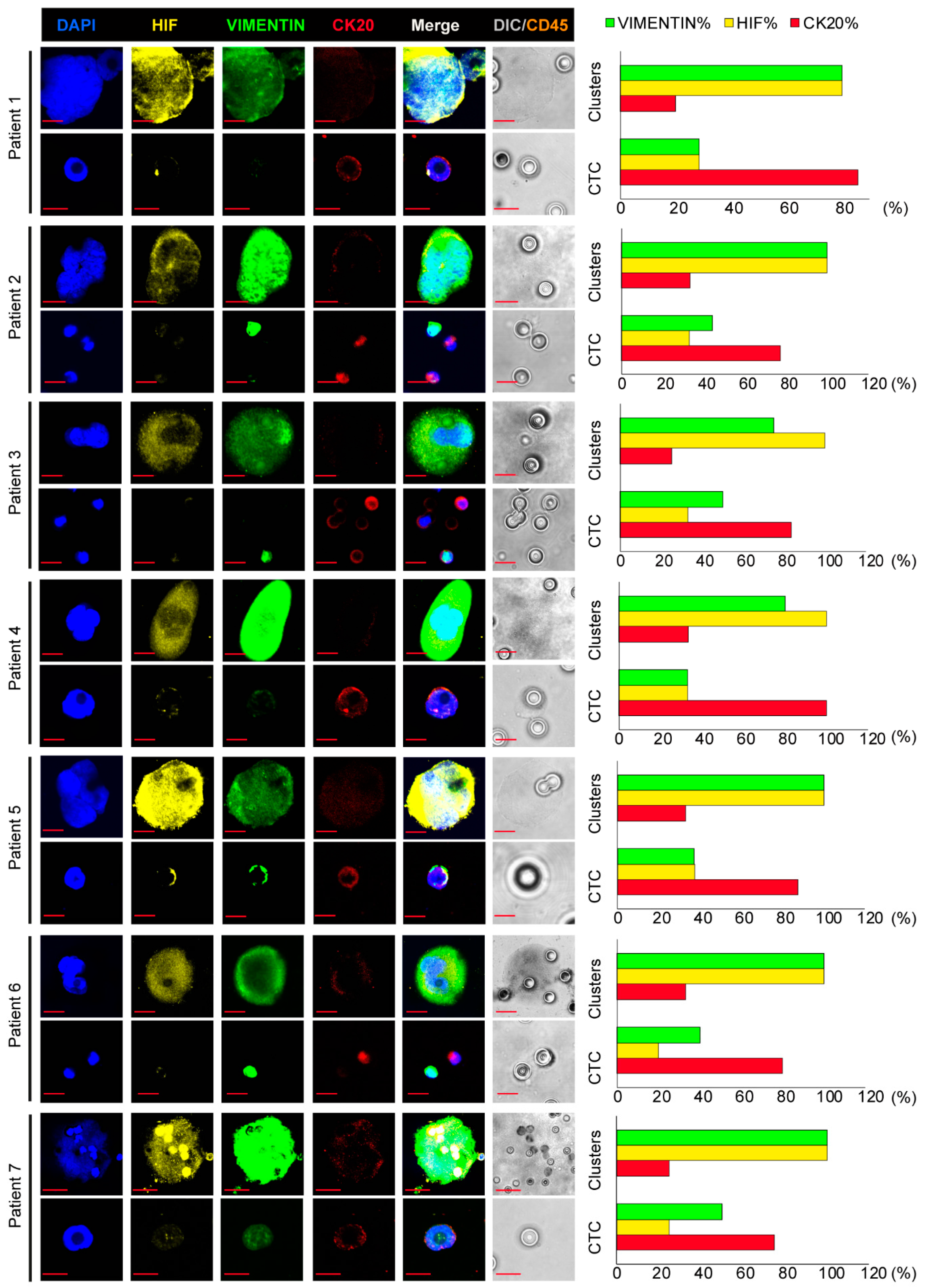 Cancers 13 06362 g001