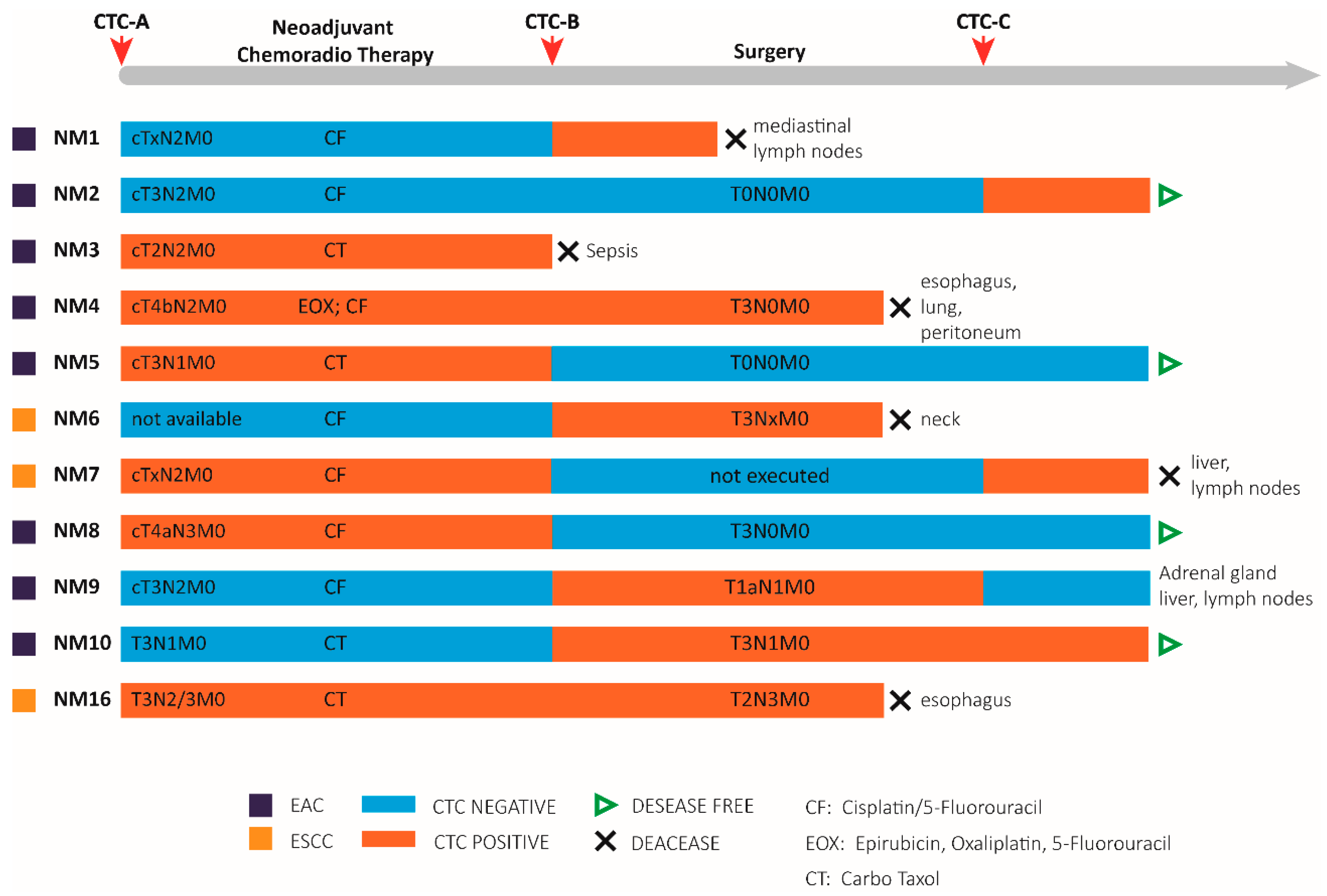 Cancers 13 06369 g003