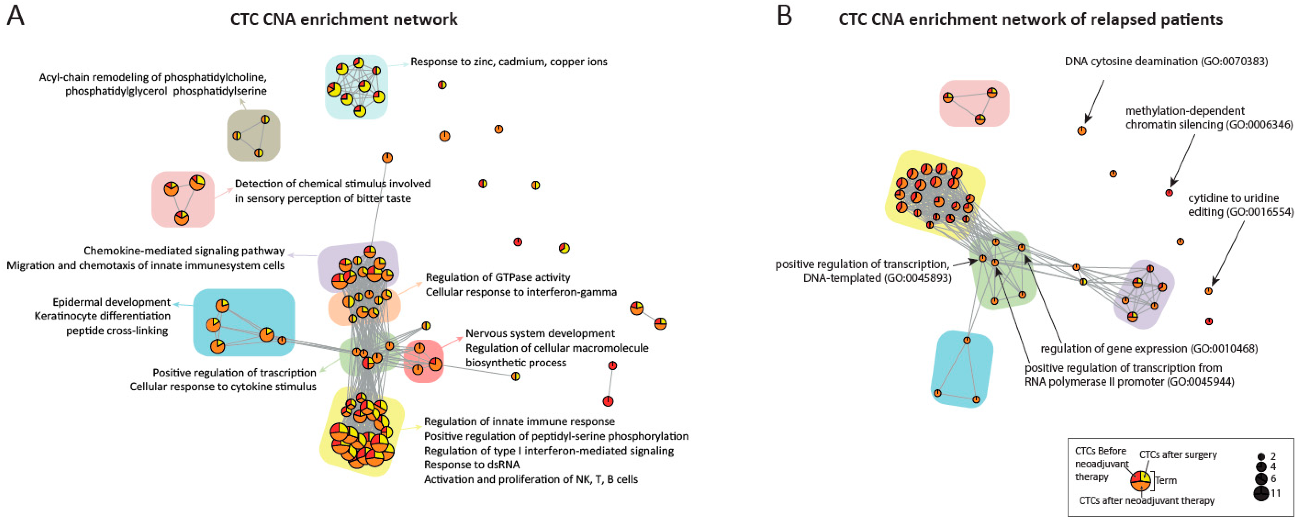 Cancers 13 06369 g005