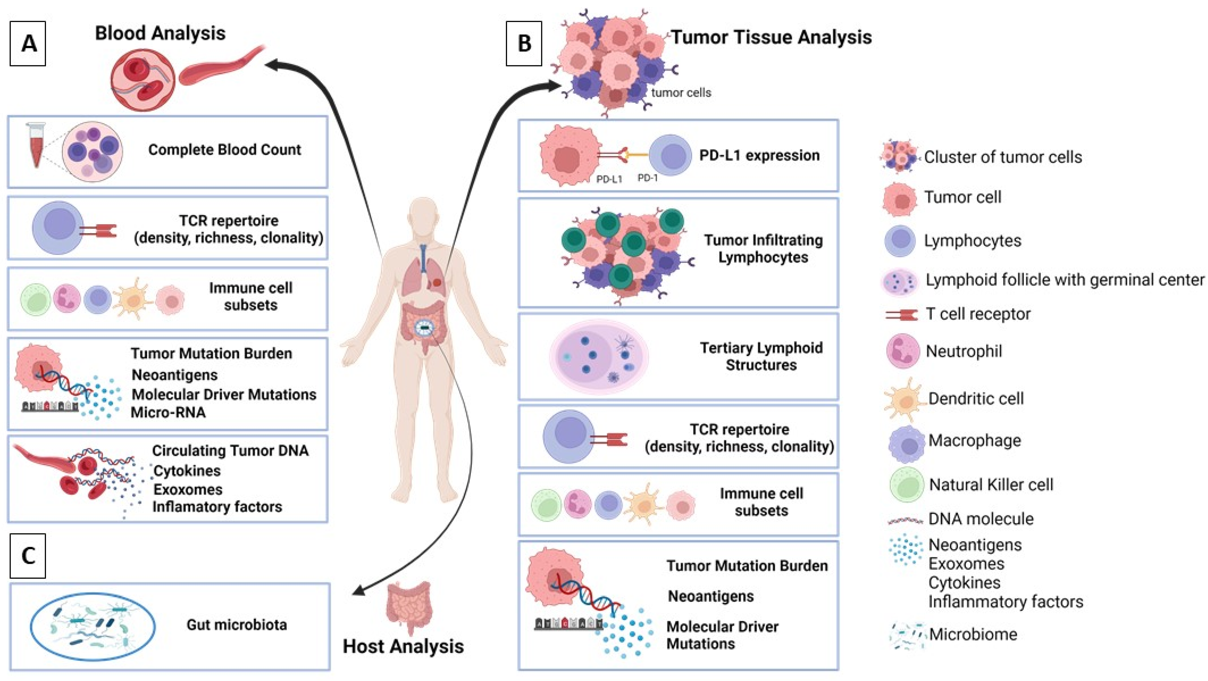 Cancers 14 02775 g004