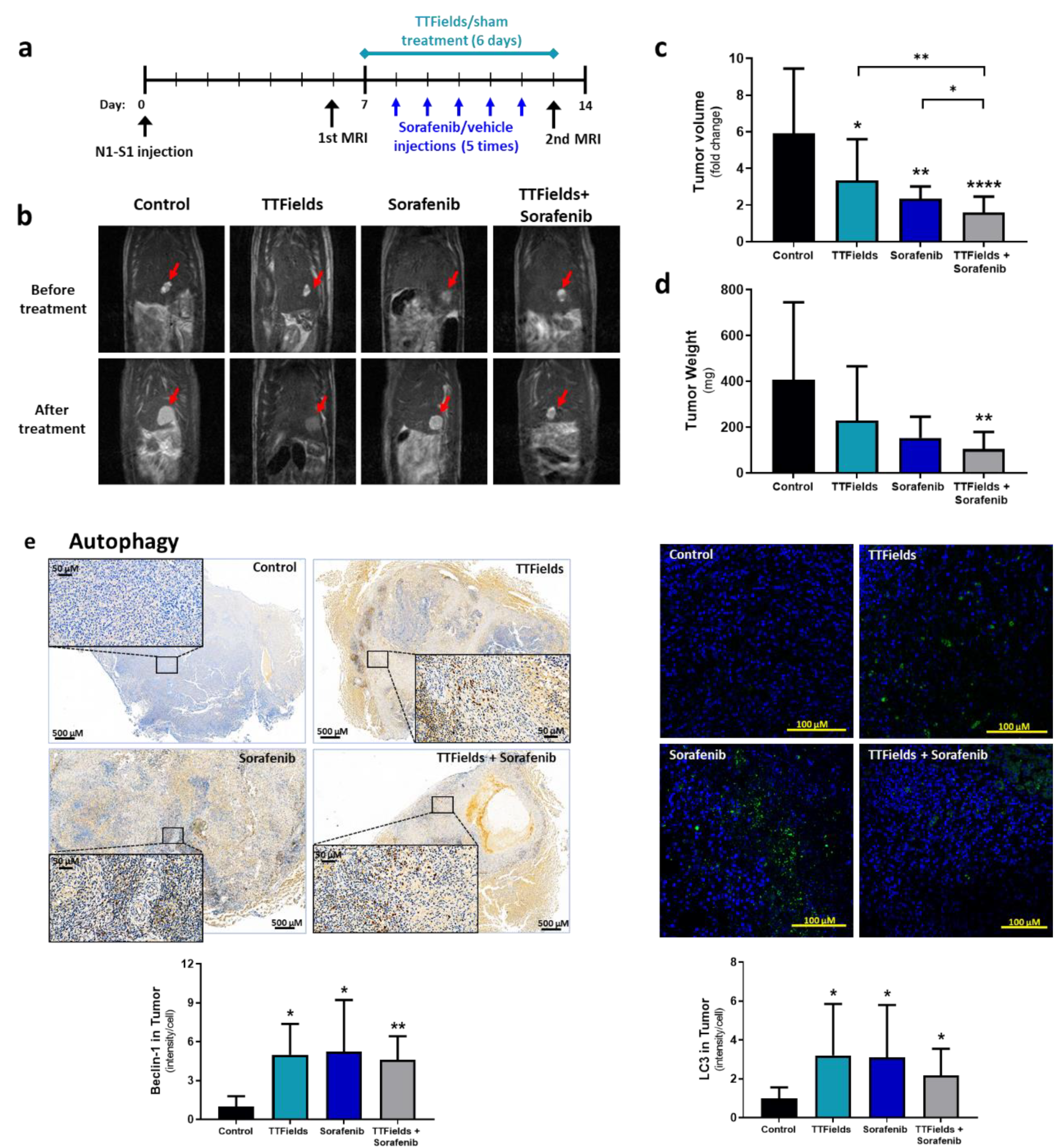Cancers 14 02959 g004a