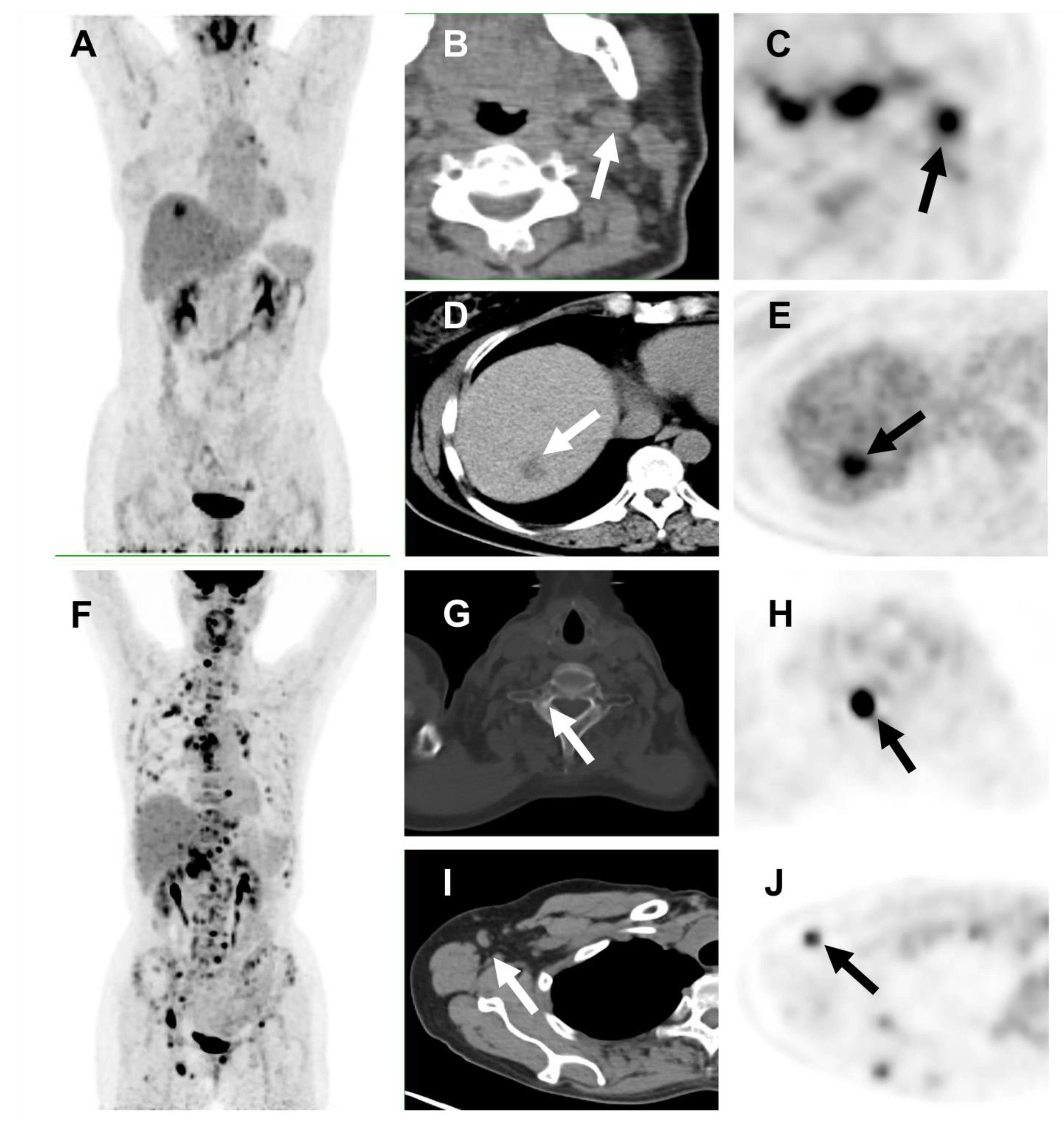 Cancers 14 03973 g003