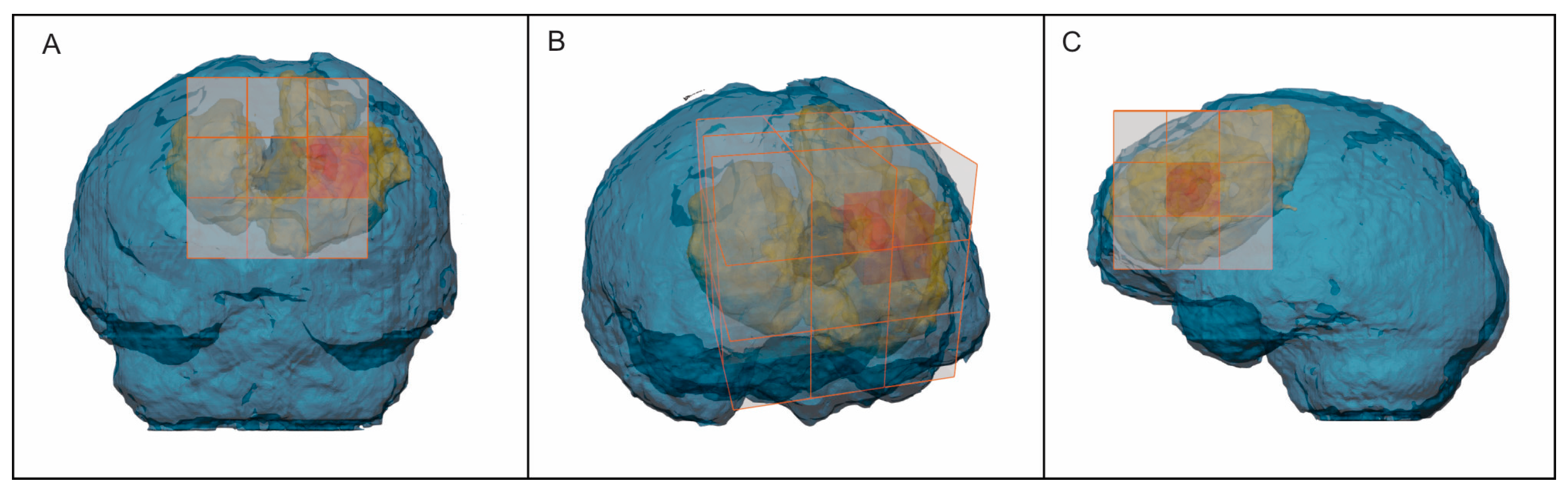 Cancers 15 01894 g002