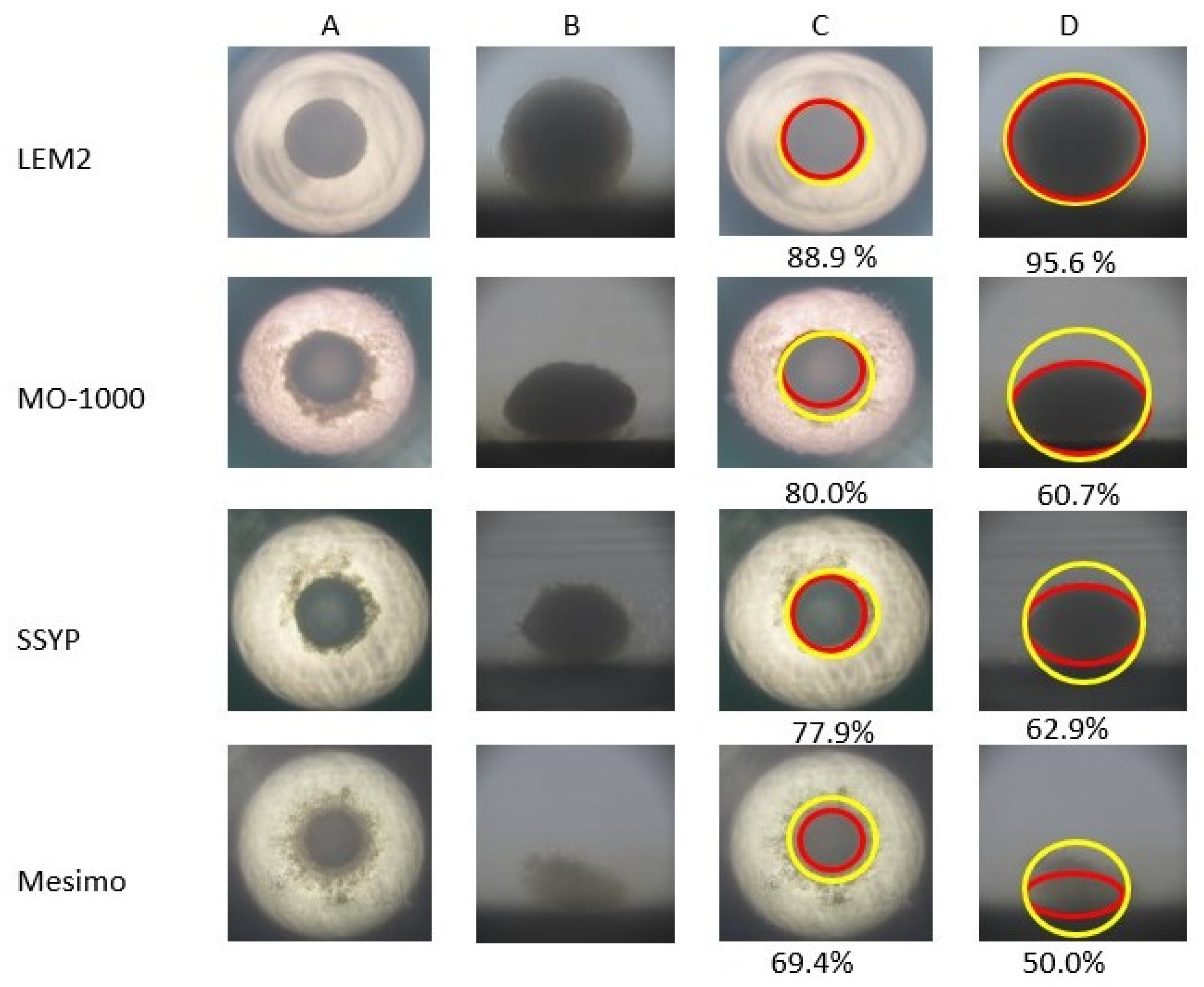 Cancers 15 02793 g003