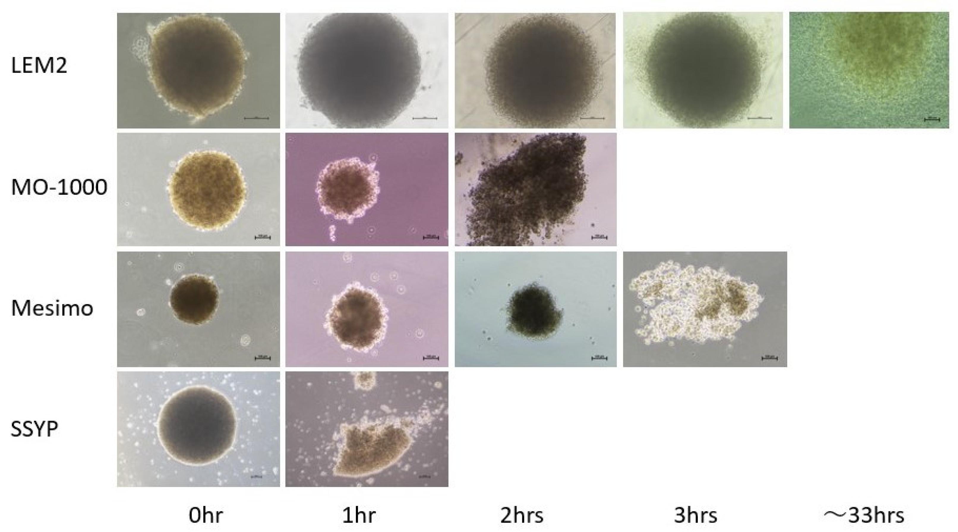 Cancers 15 02793 g004