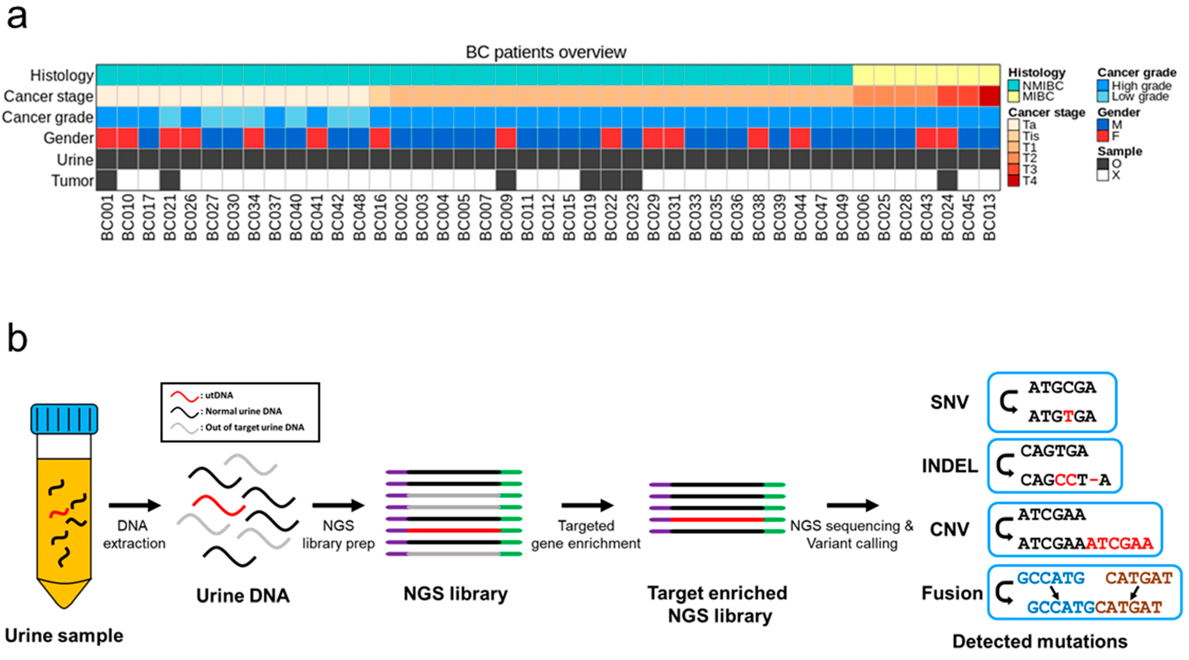 Cancers 15 02868 g001
