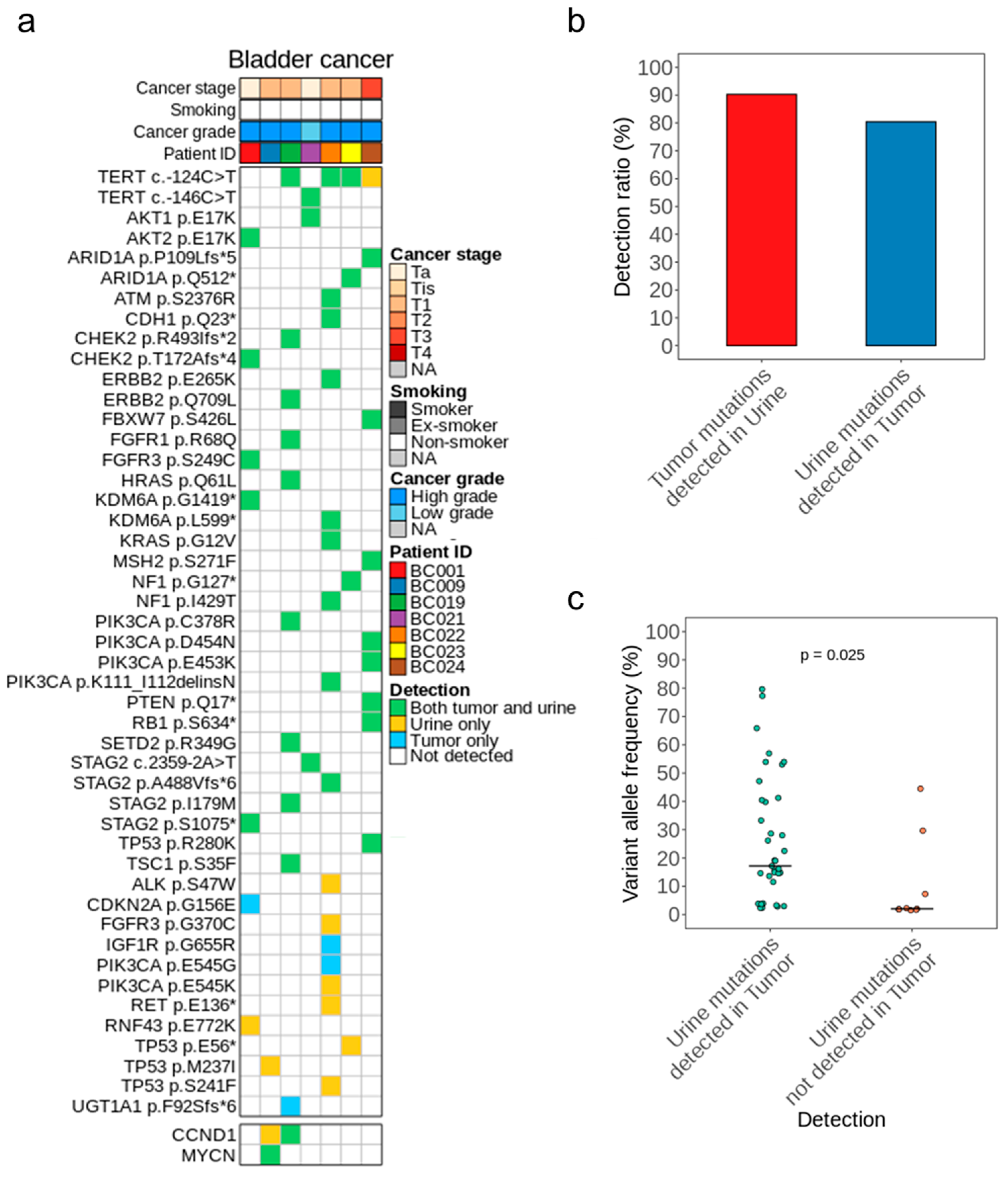 Cancers 15 02868 g002