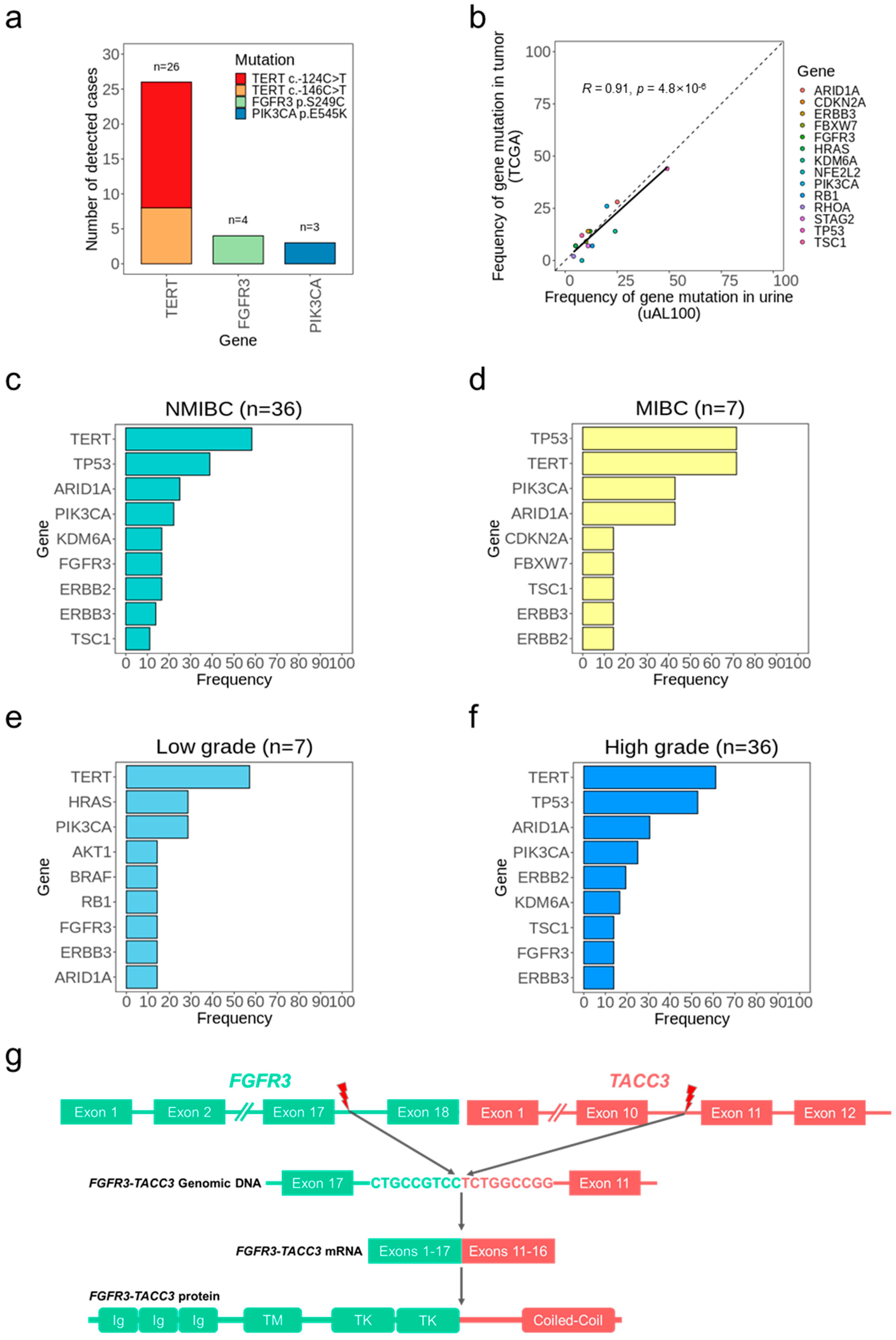 Cancers 15 02868 g004