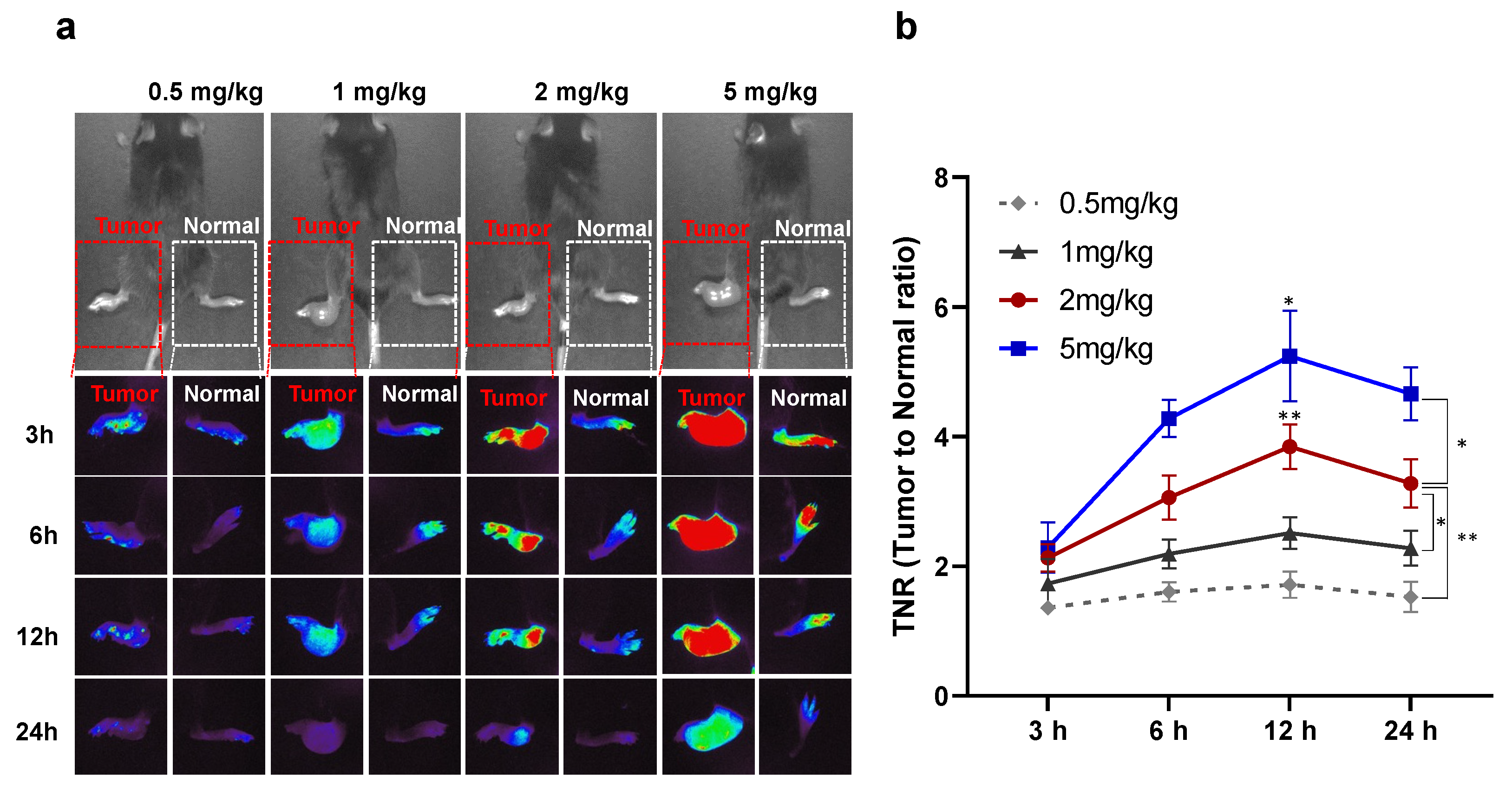 Cancers 15 03643 g001