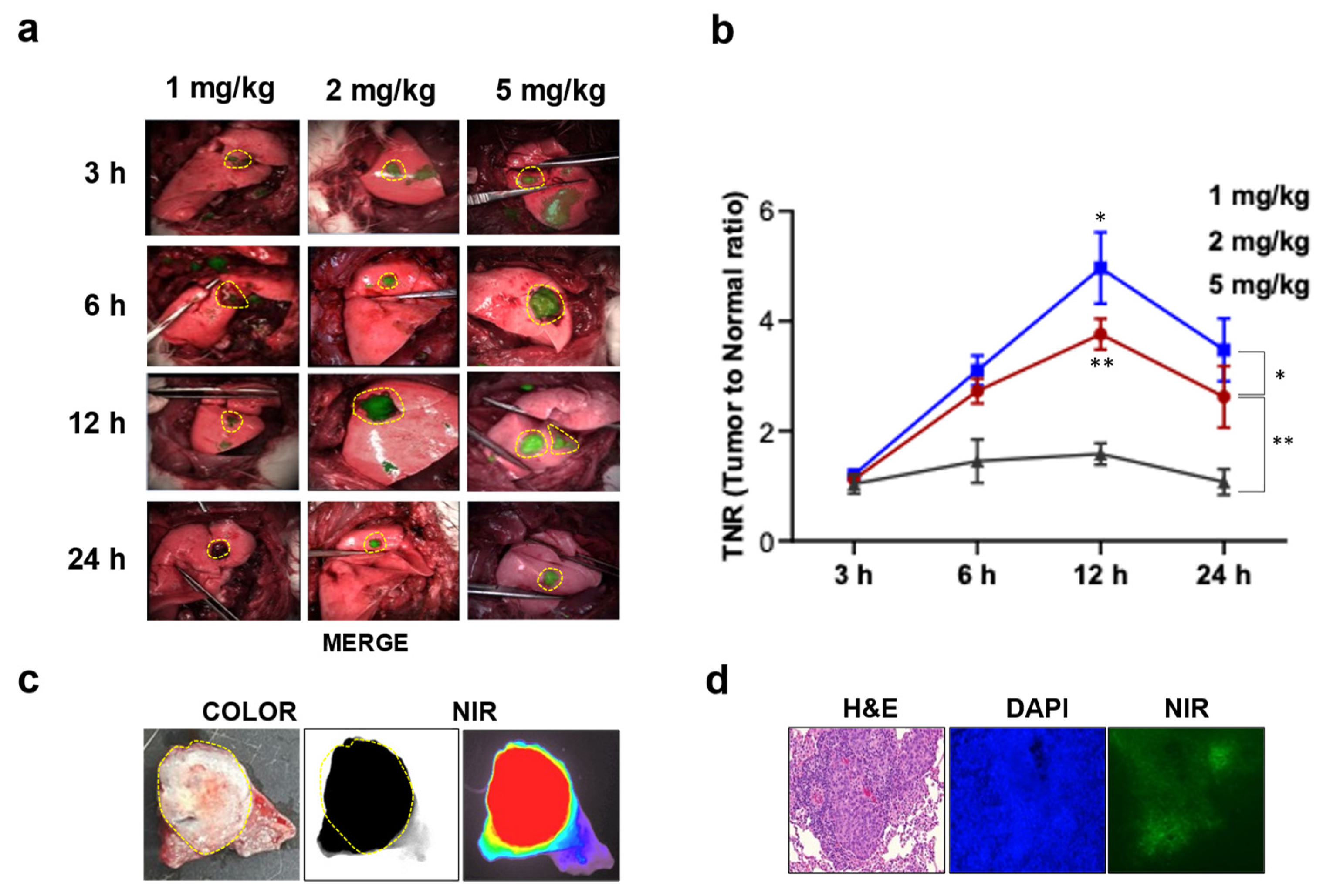 Cancers 15 03643 g002