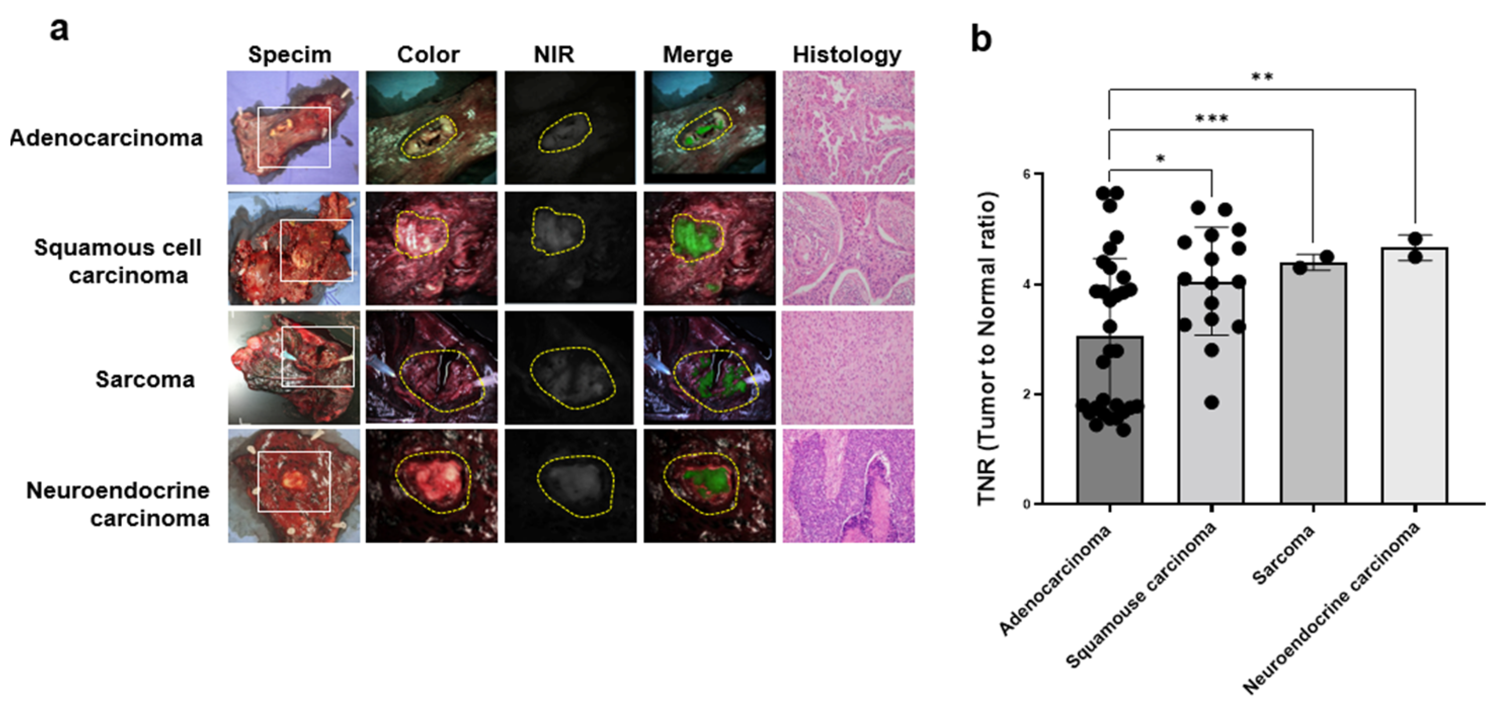 Cancers 15 03643 g003