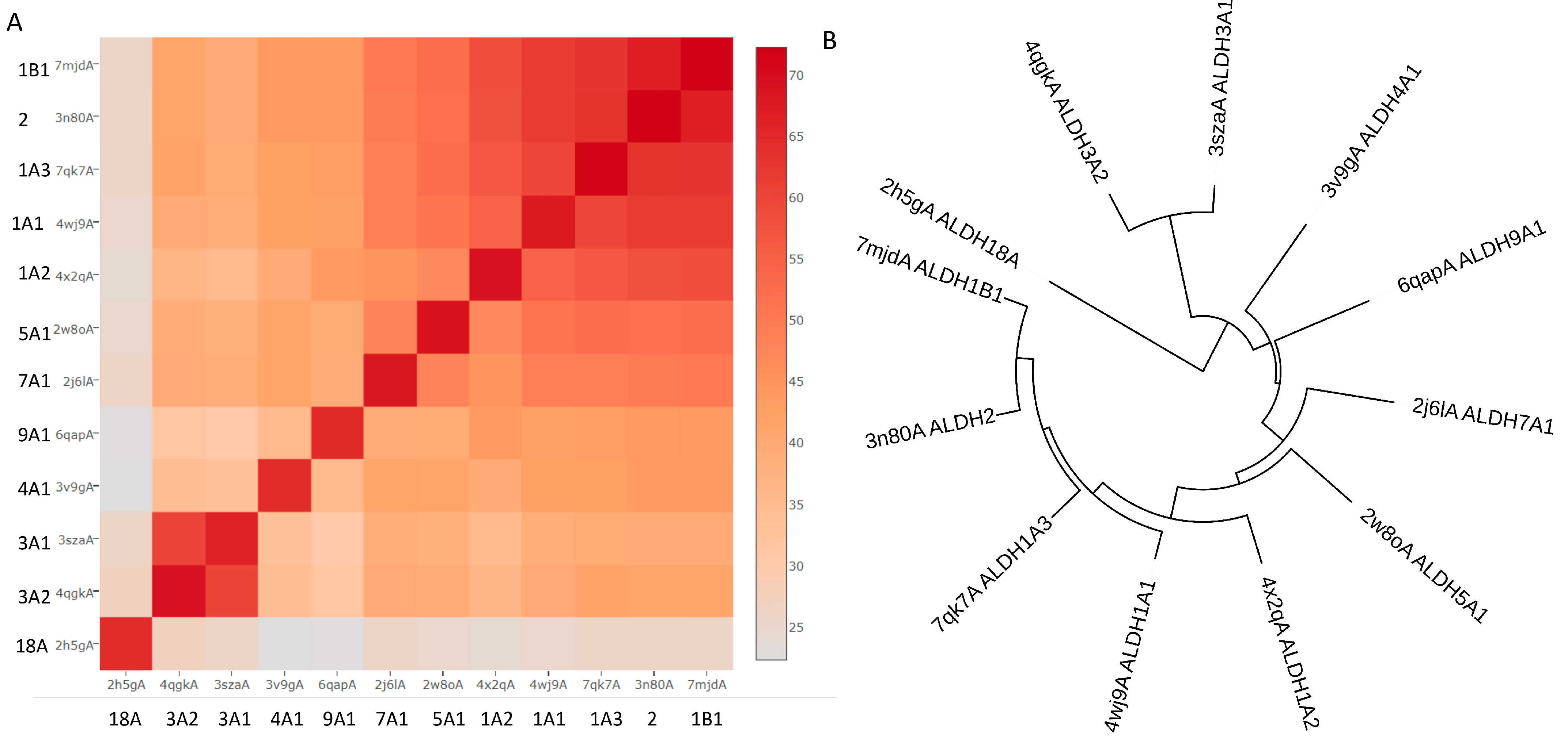 Cancers 15 04419 g003