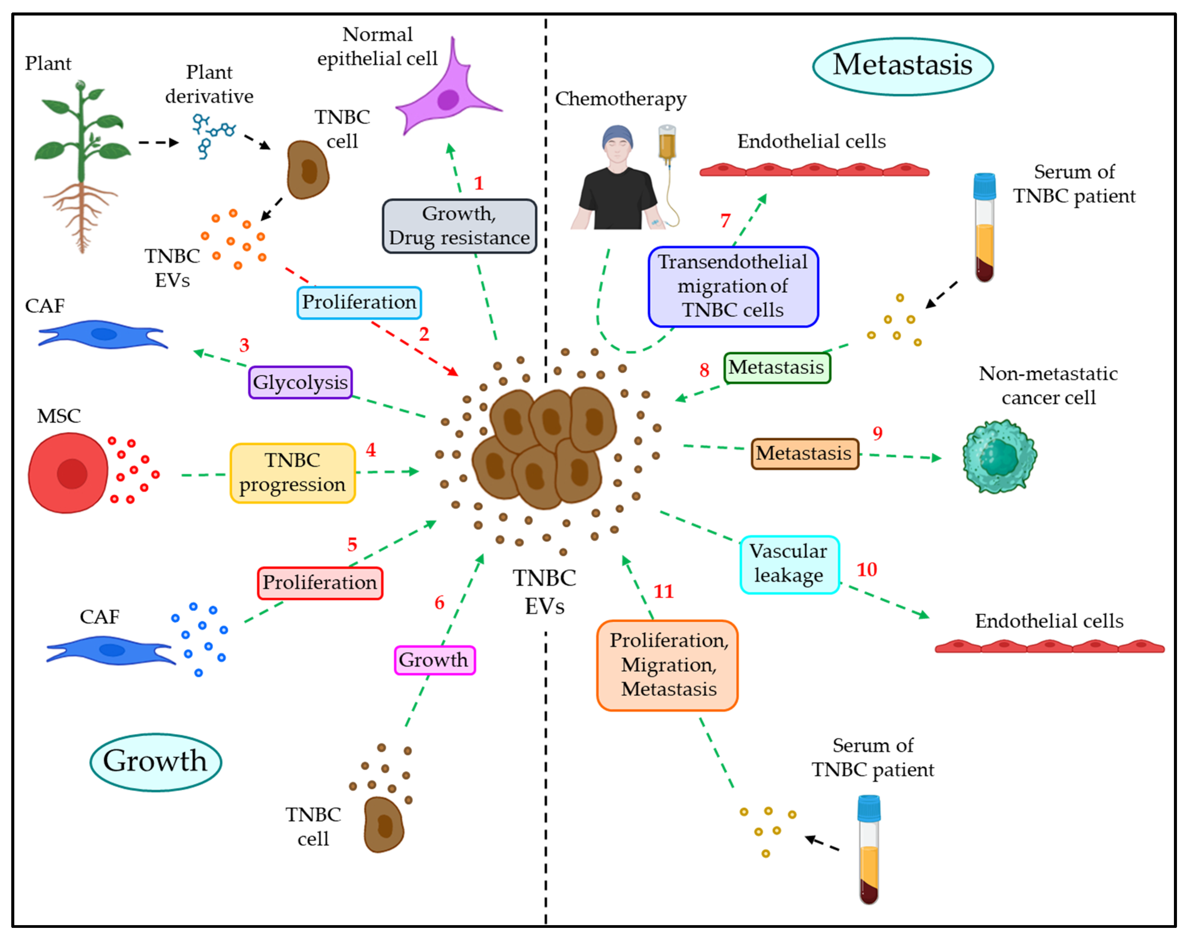 Cancers 15 04879 g004