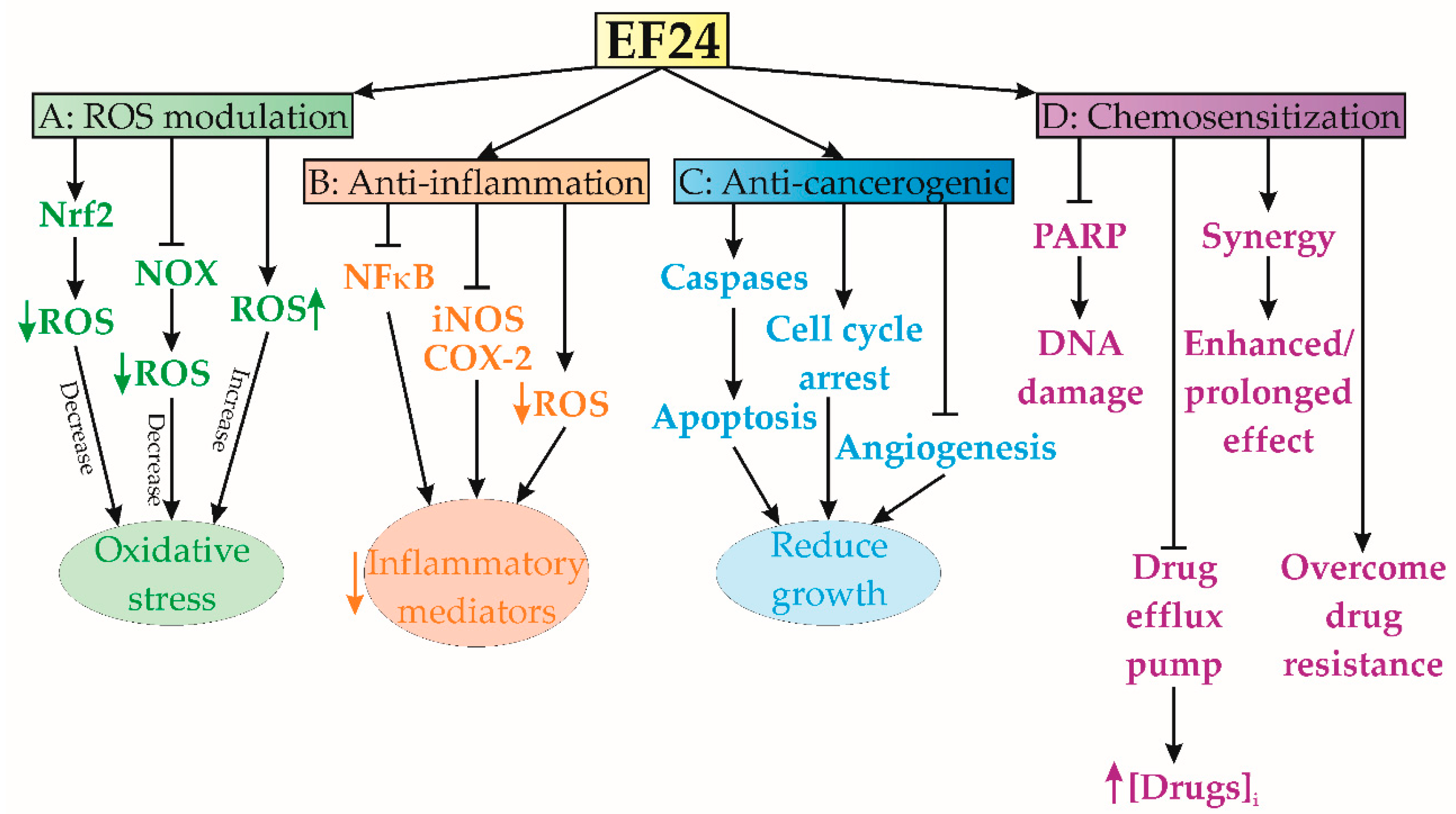 Cancers 15 05478 g002