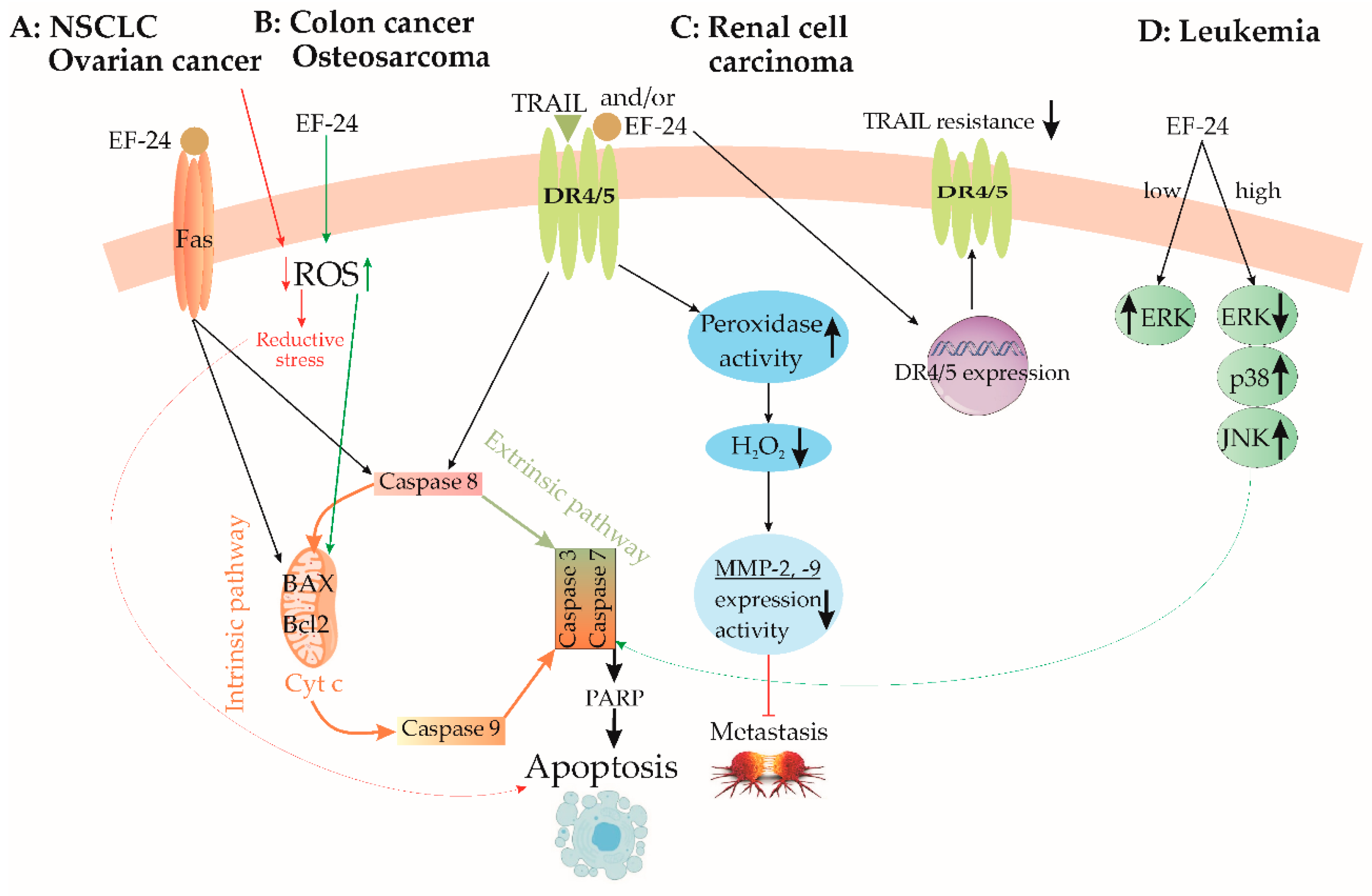 Cancers 15 05478 g003