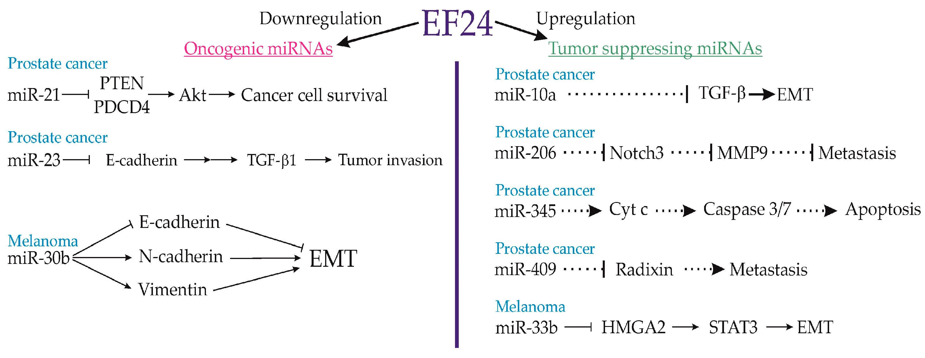 Cancers 15 05478 g007