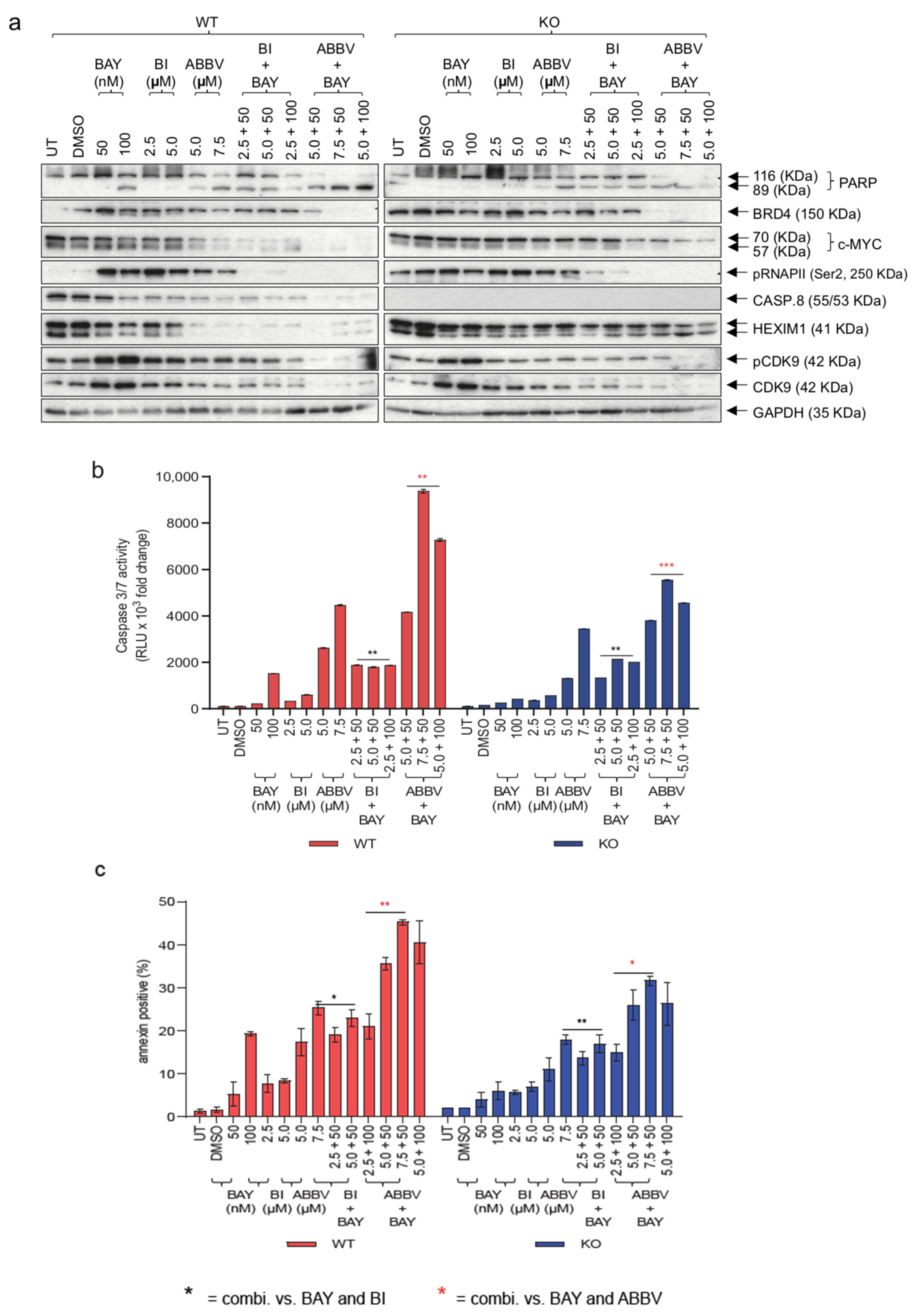 Cancers 16 00107 g006