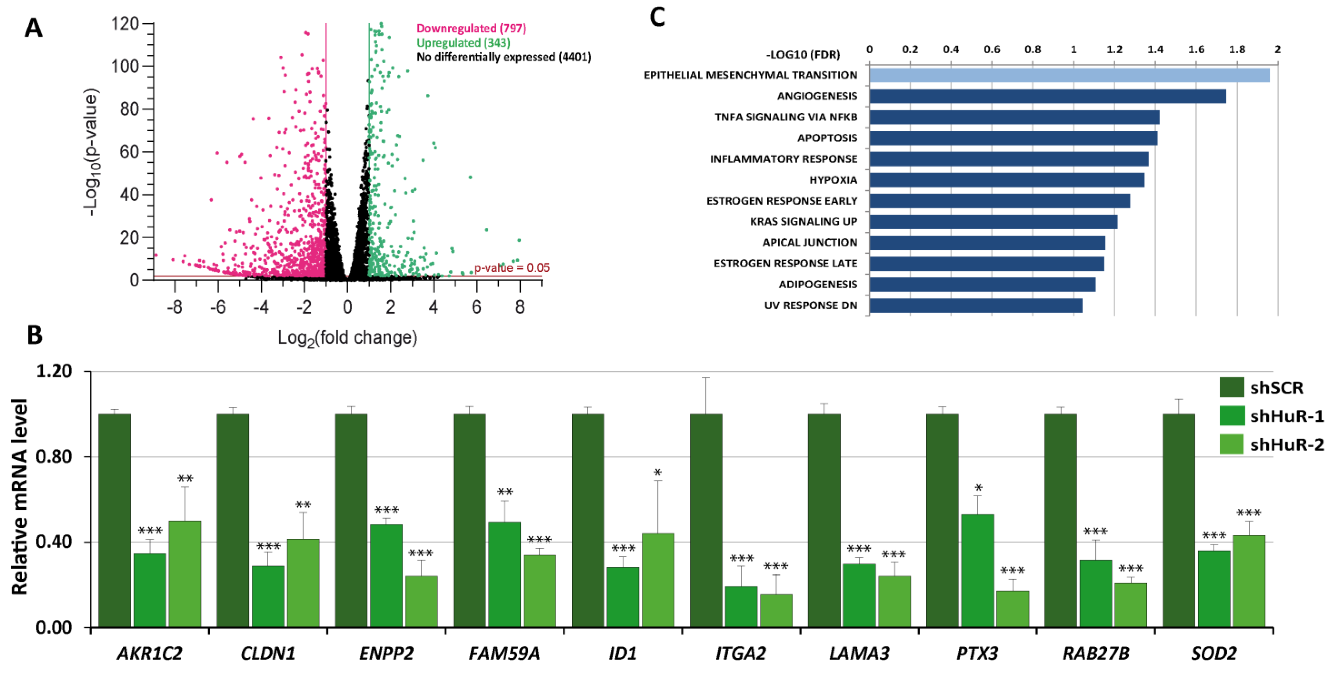 Cancers 16 00384 g001