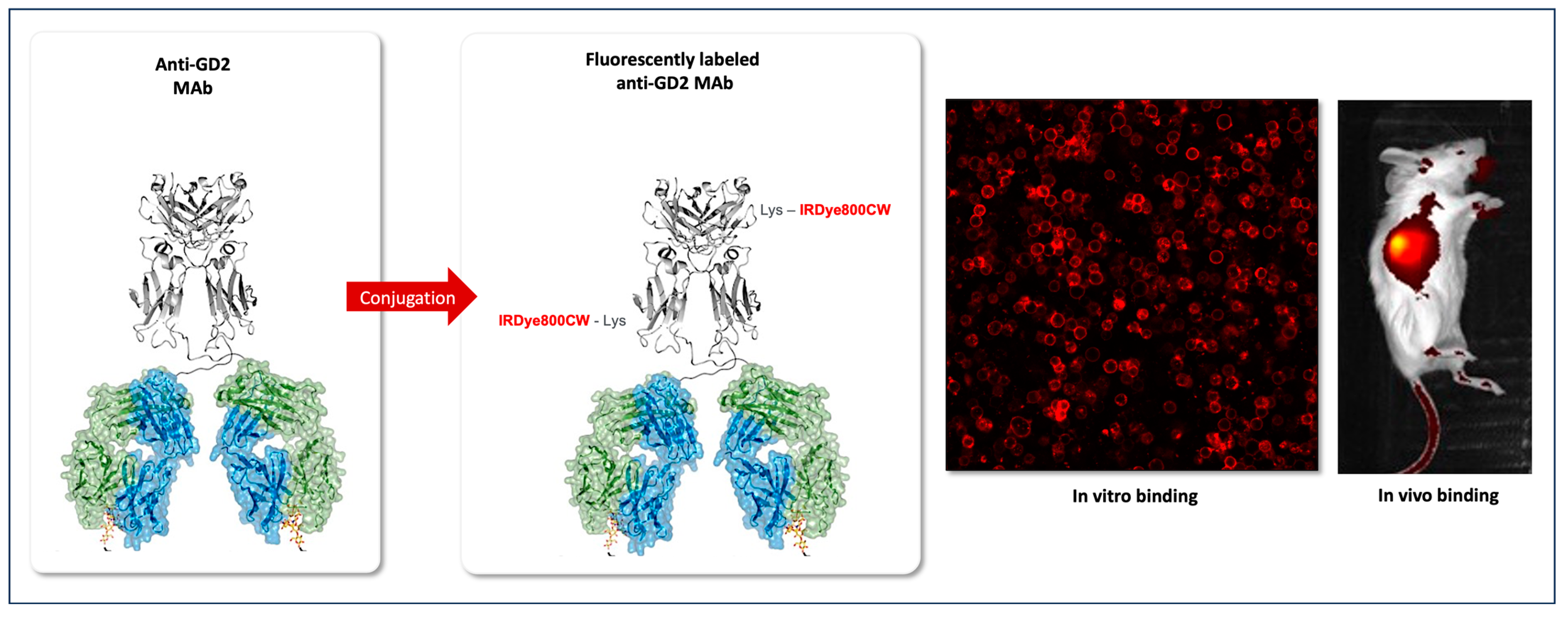 Cancers 16 01045 g001