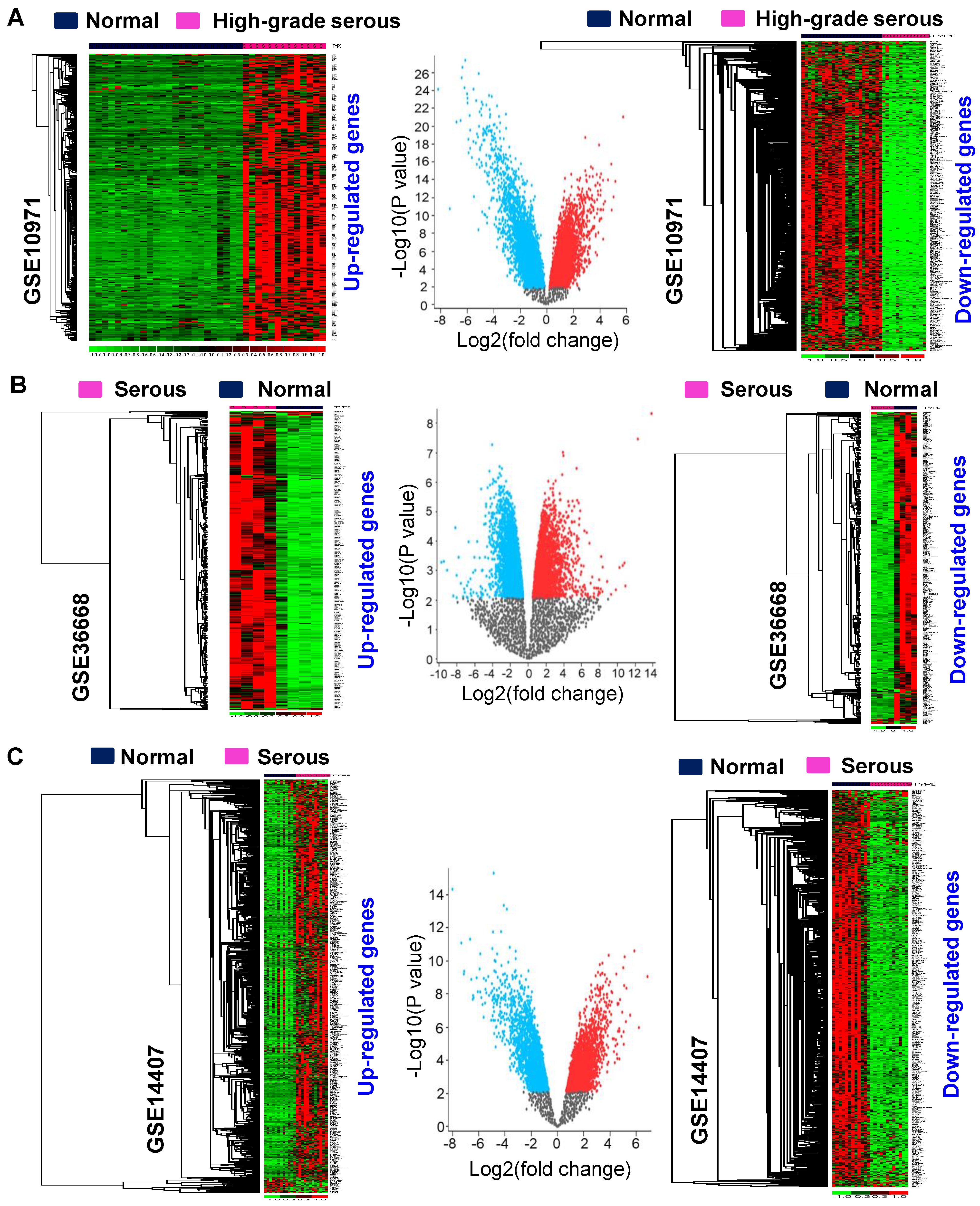 Cancers 16 02783 g002