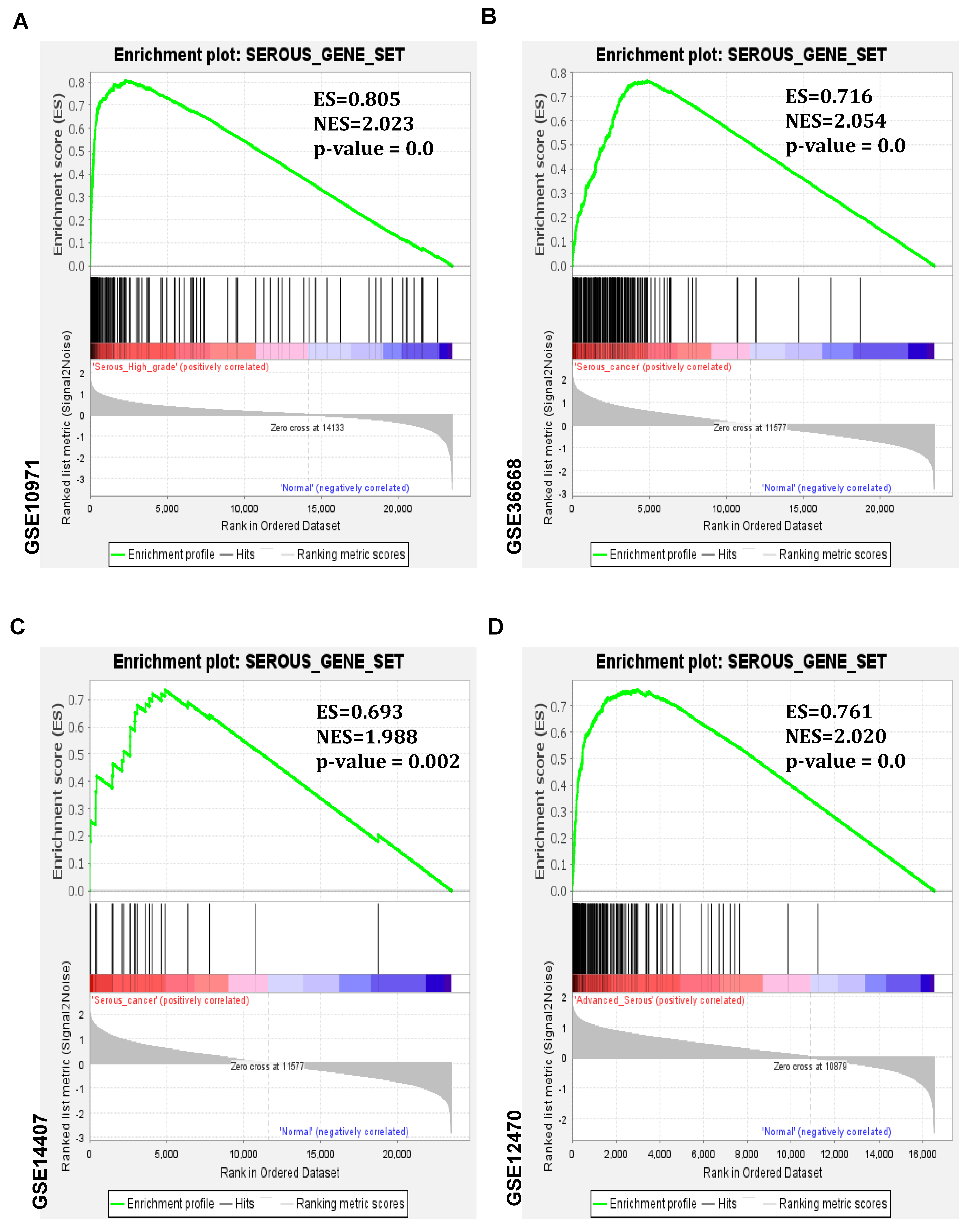 Cancers 16 02783 g004