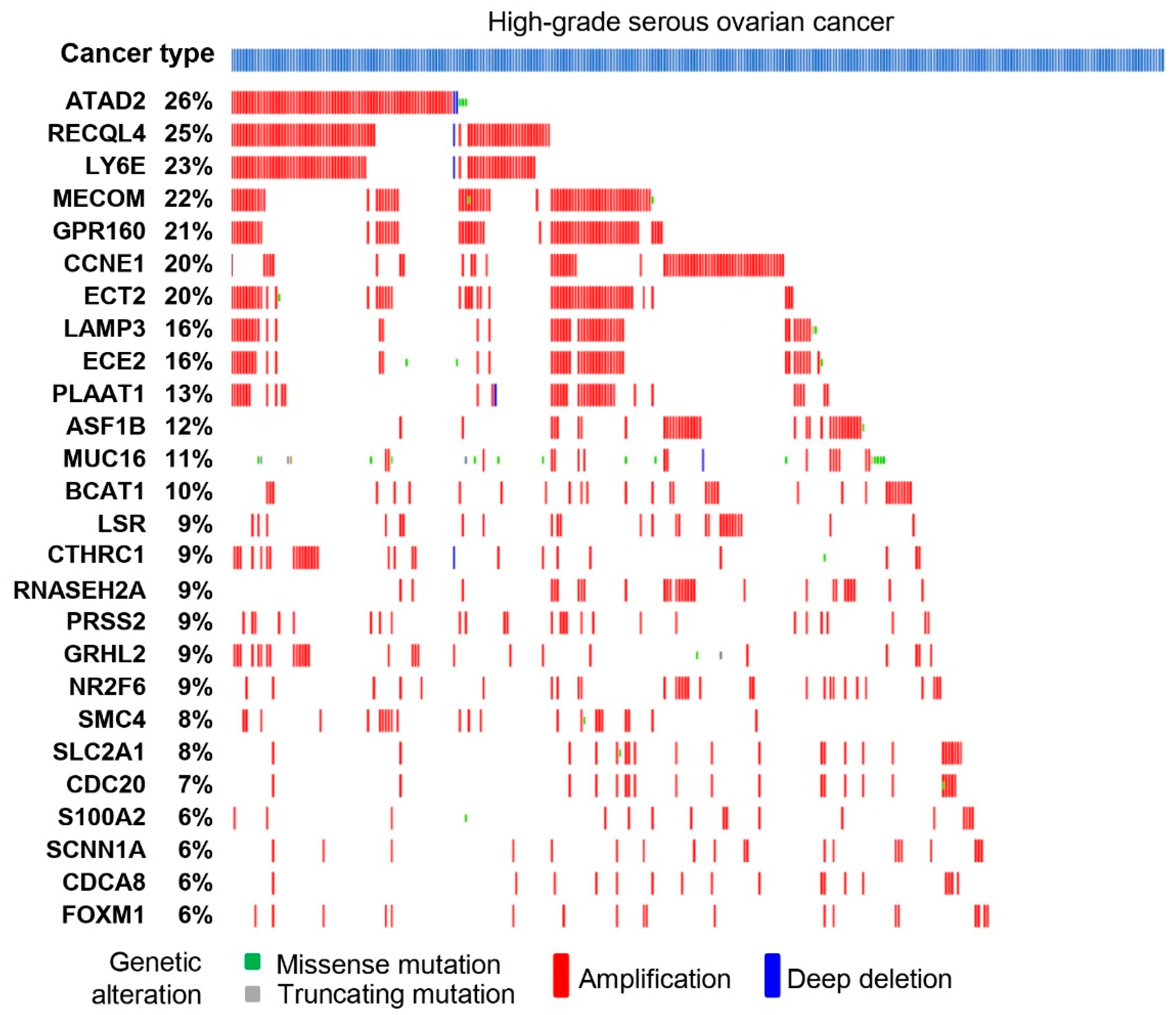 Cancers 16 02783 g005