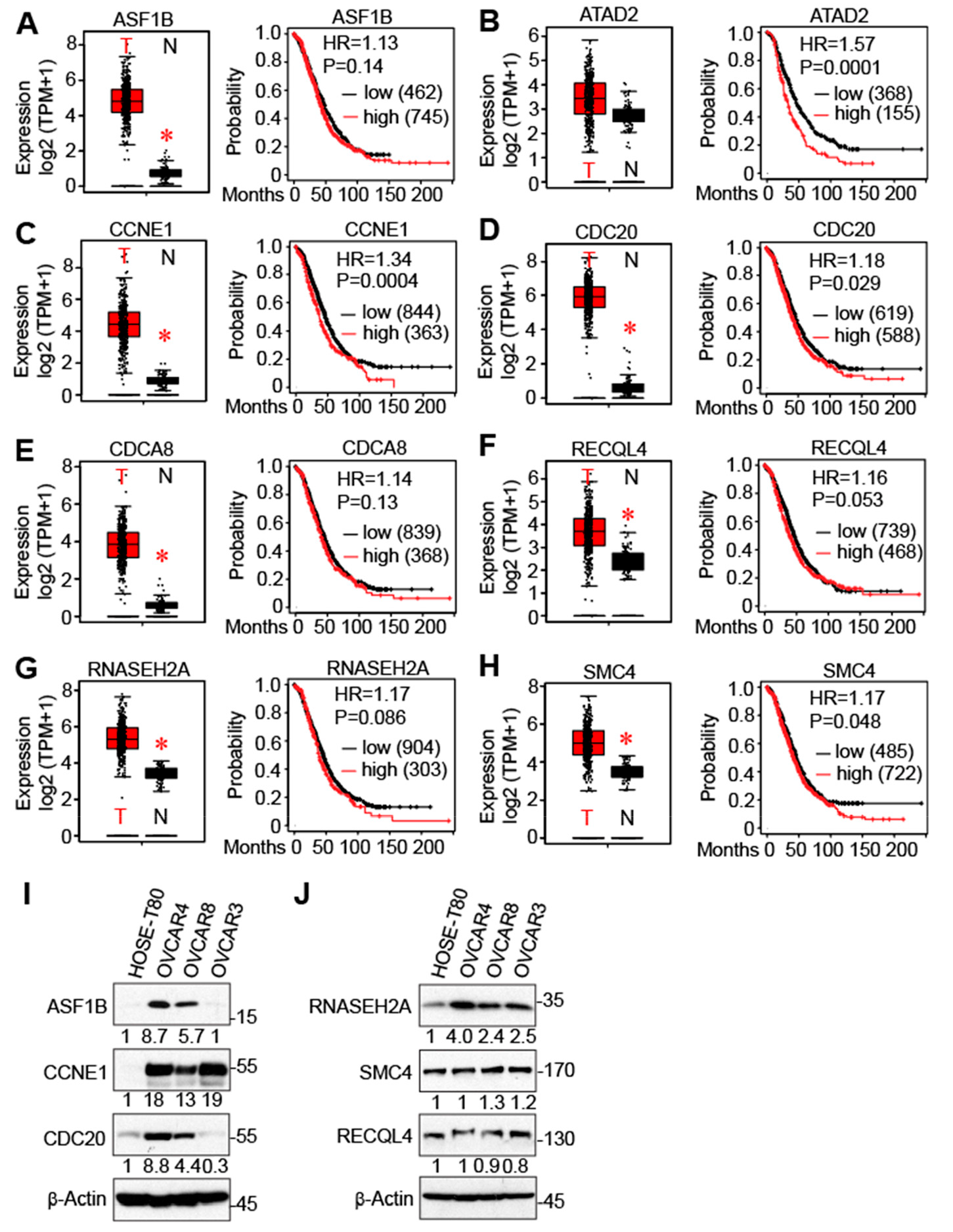 Cancers 16 02783 g008