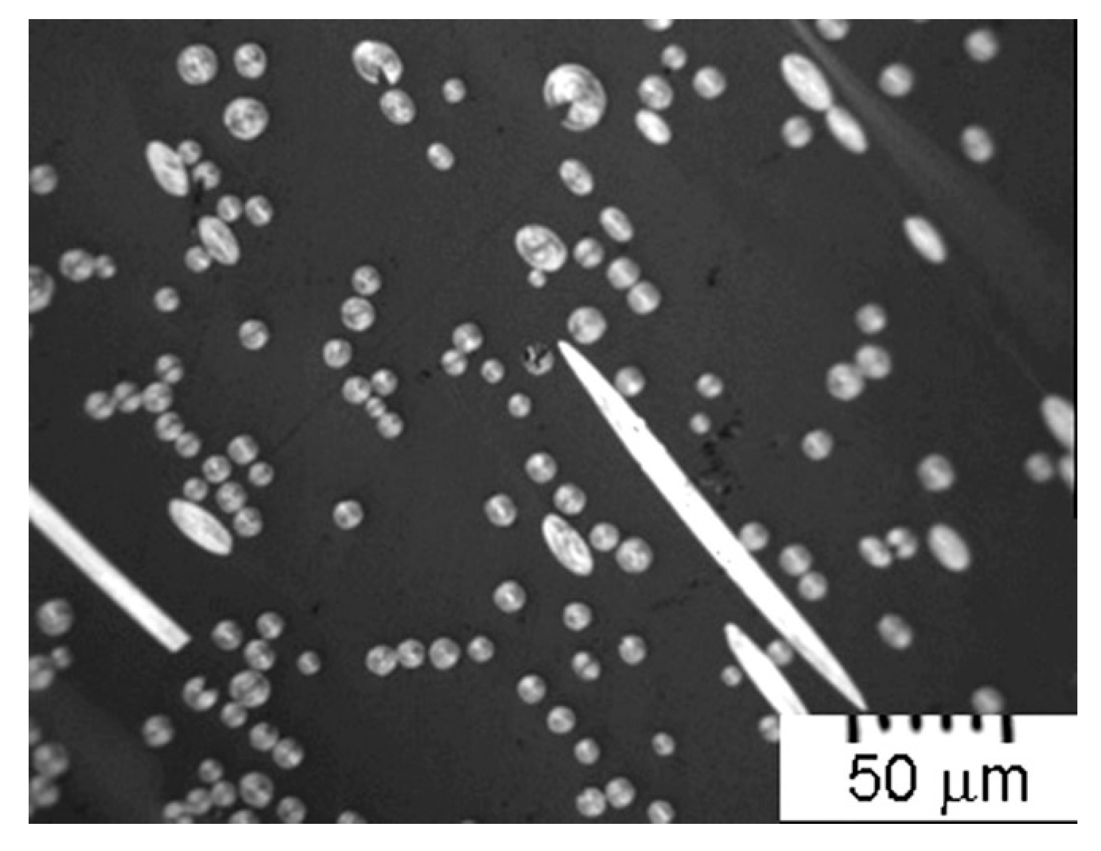 Carbon 03 00026 g008