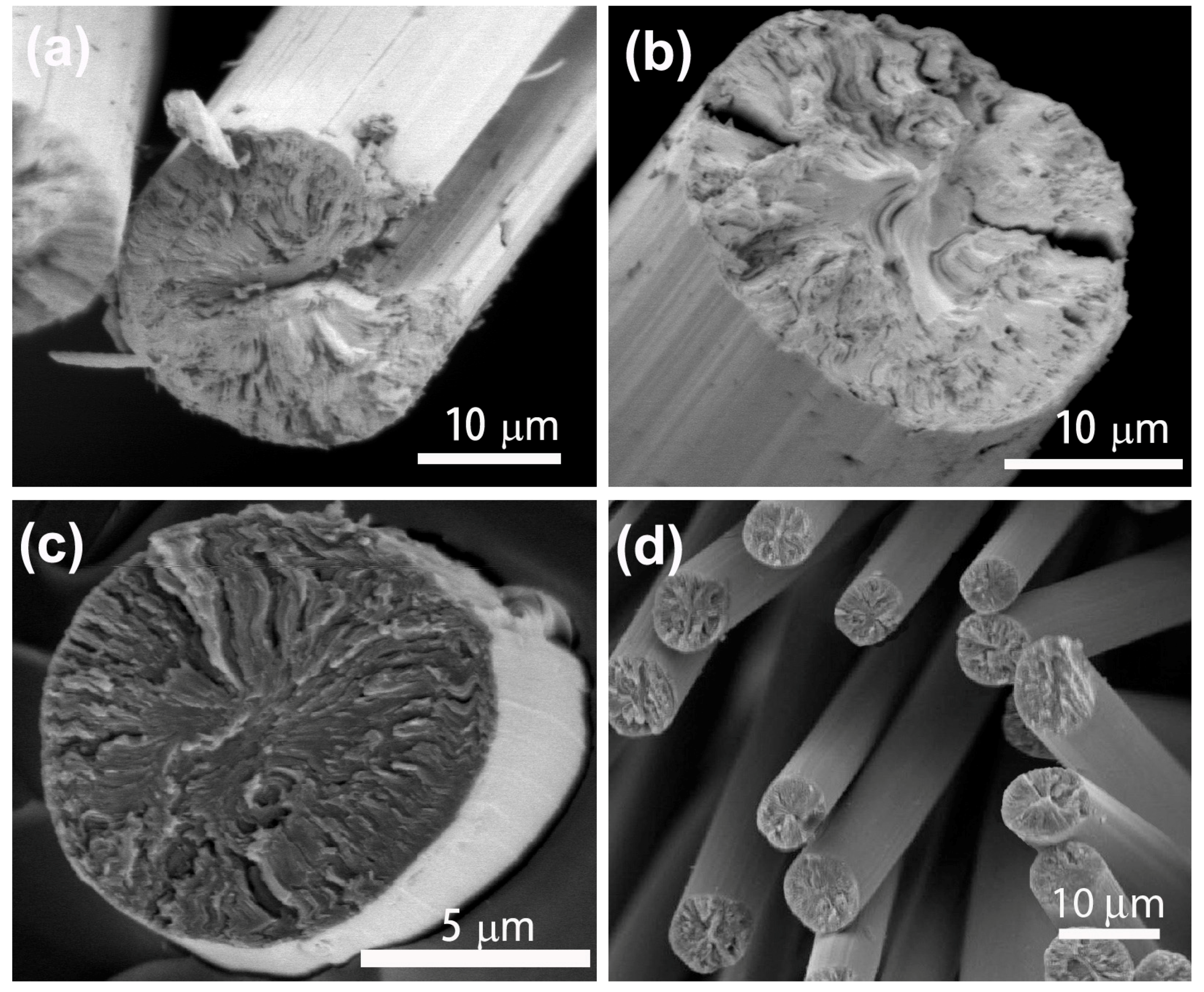 download development of a sub glacial radio telescope for the detection of gzk neutrinos