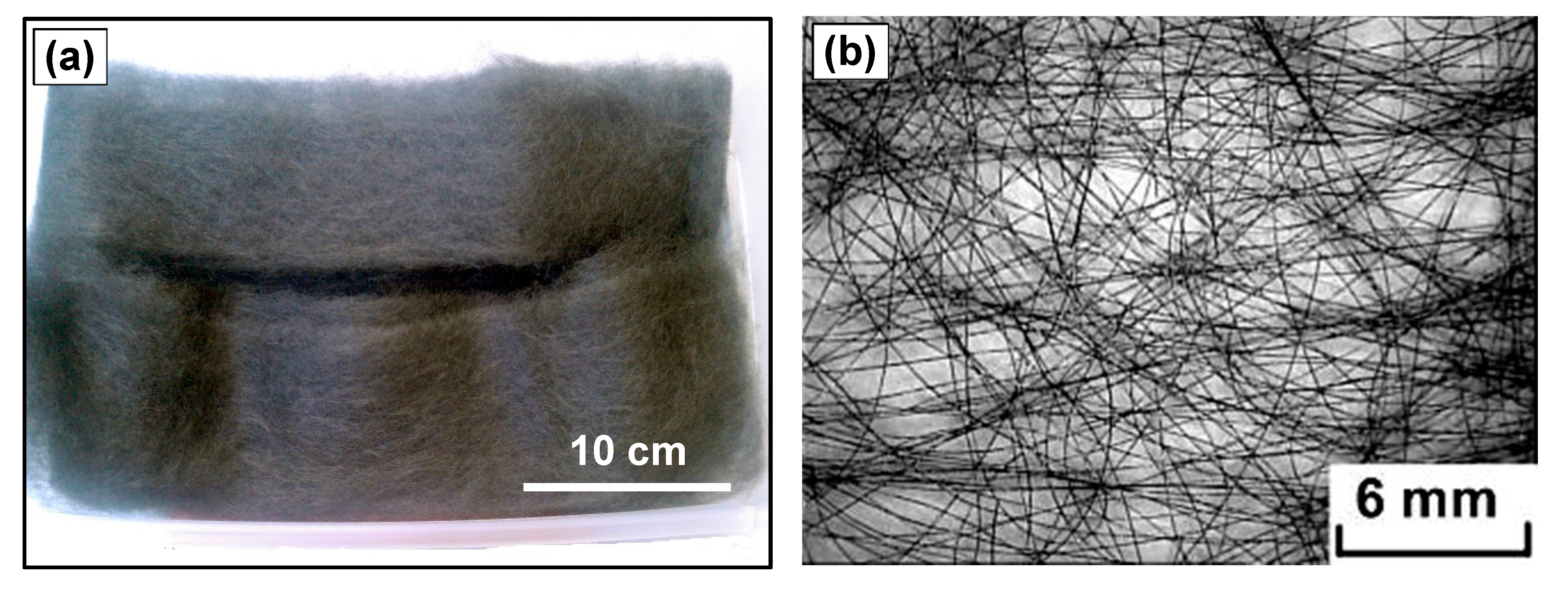 Carbon 03 00026 g012