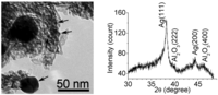 Catalysts 02 00068 g002 200