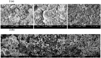 Catalysts 02 00532 g002 200