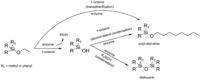 Catalysts 03 00027 g002 200