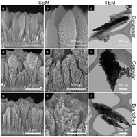 Catalysts 03 00247 g002 200