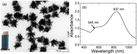 Catalysts 03 00288 g001 200