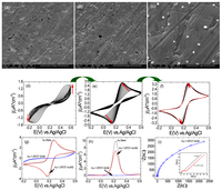 Catalysts 03 00288 g002 200